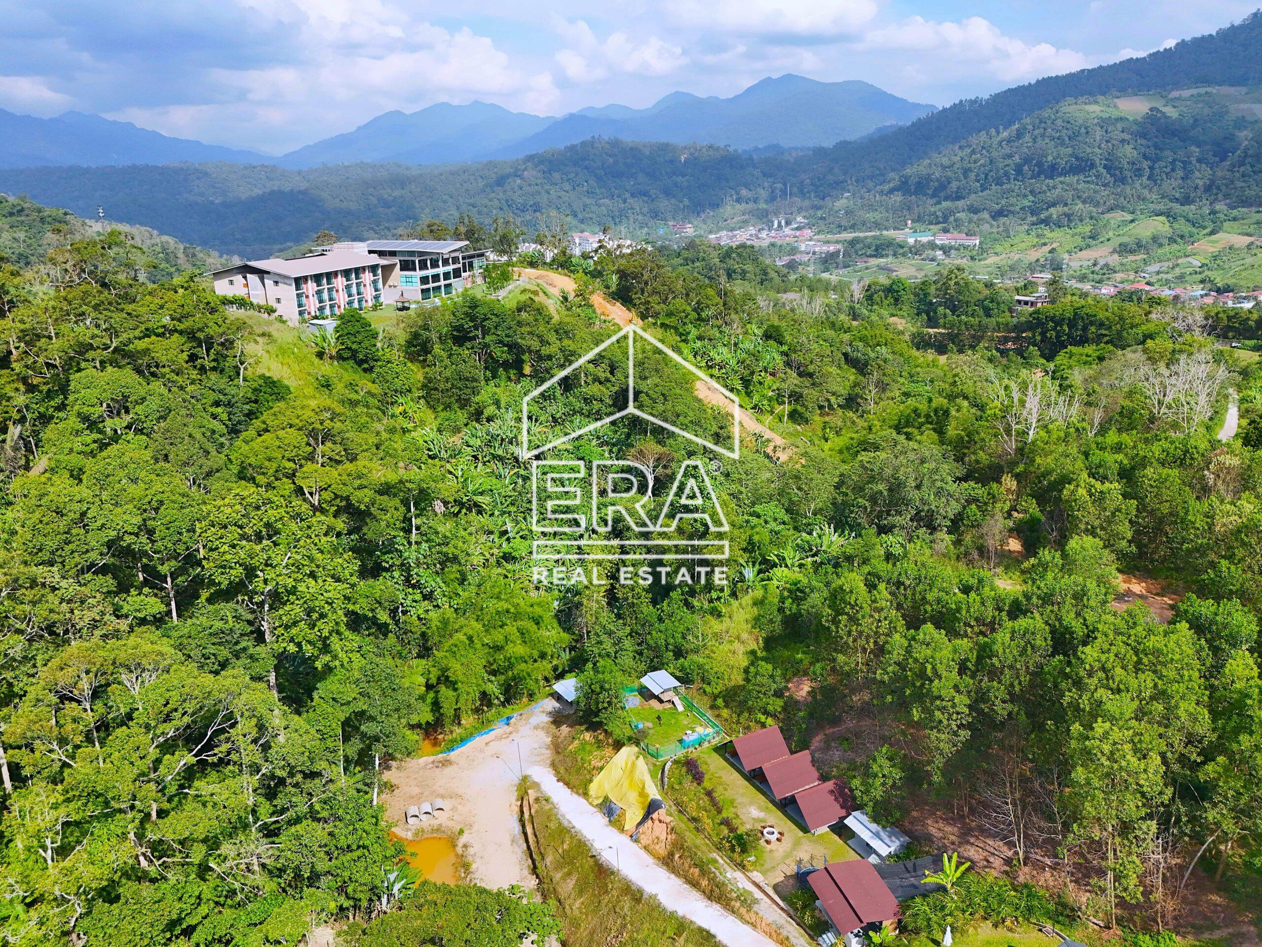 DJI_20240705161019_0400_D-crushimage-scaled-1