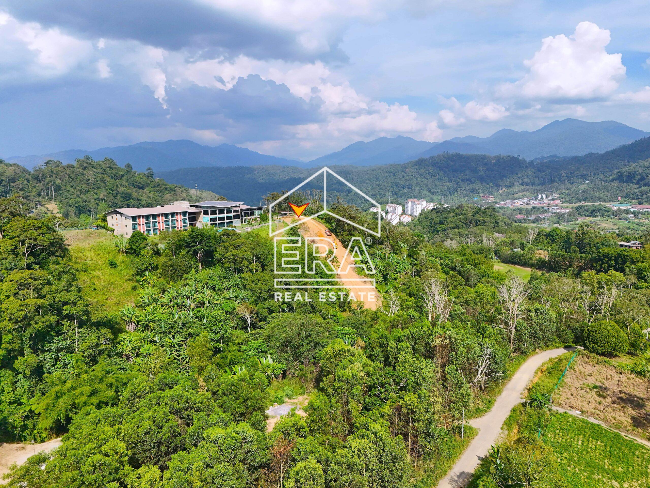 DJI_20240705161035_0401_D_1-crushimage-scaled-1