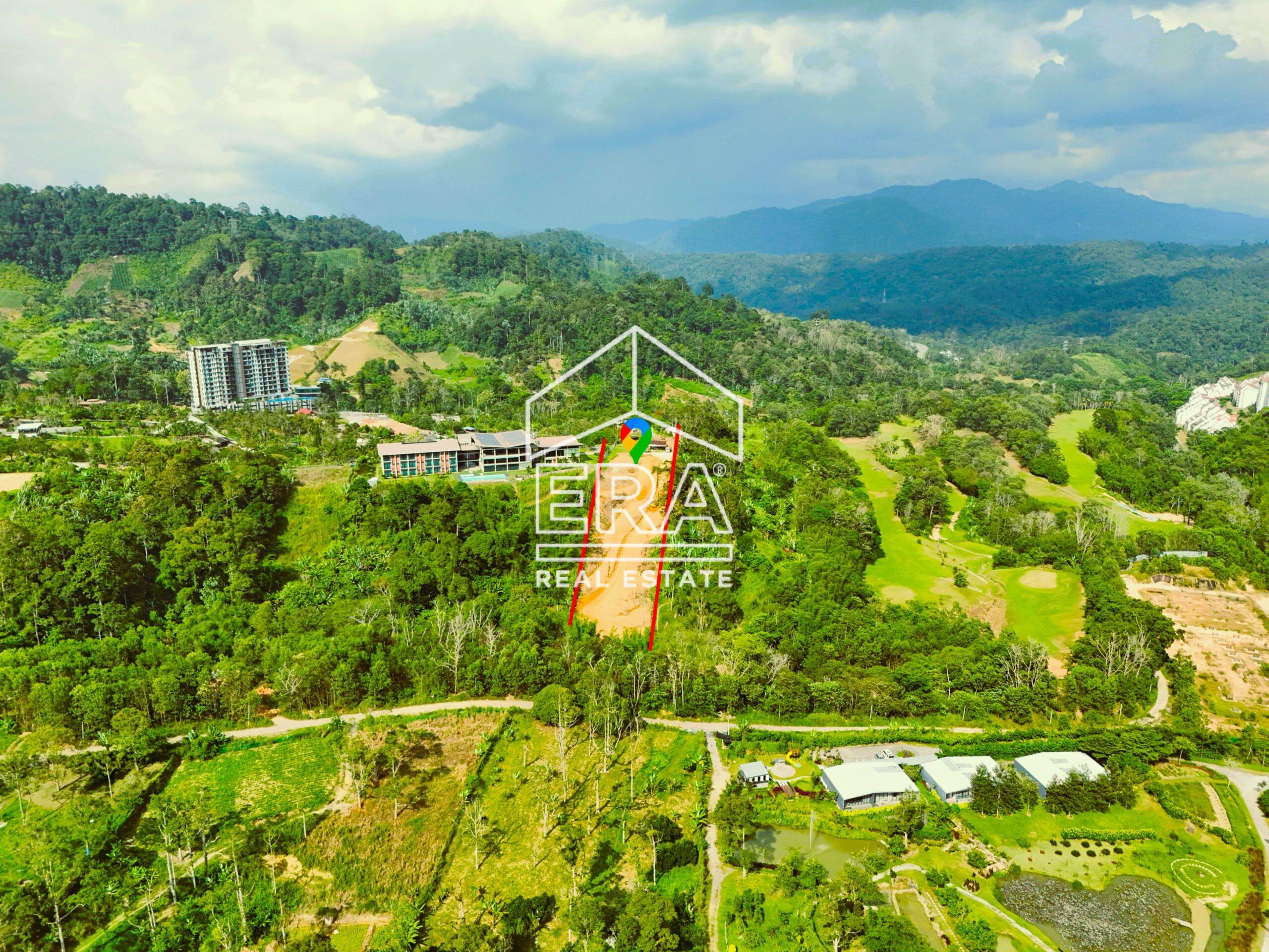 DJI_20240705161234_0403_D_-crushimage-scaled-1