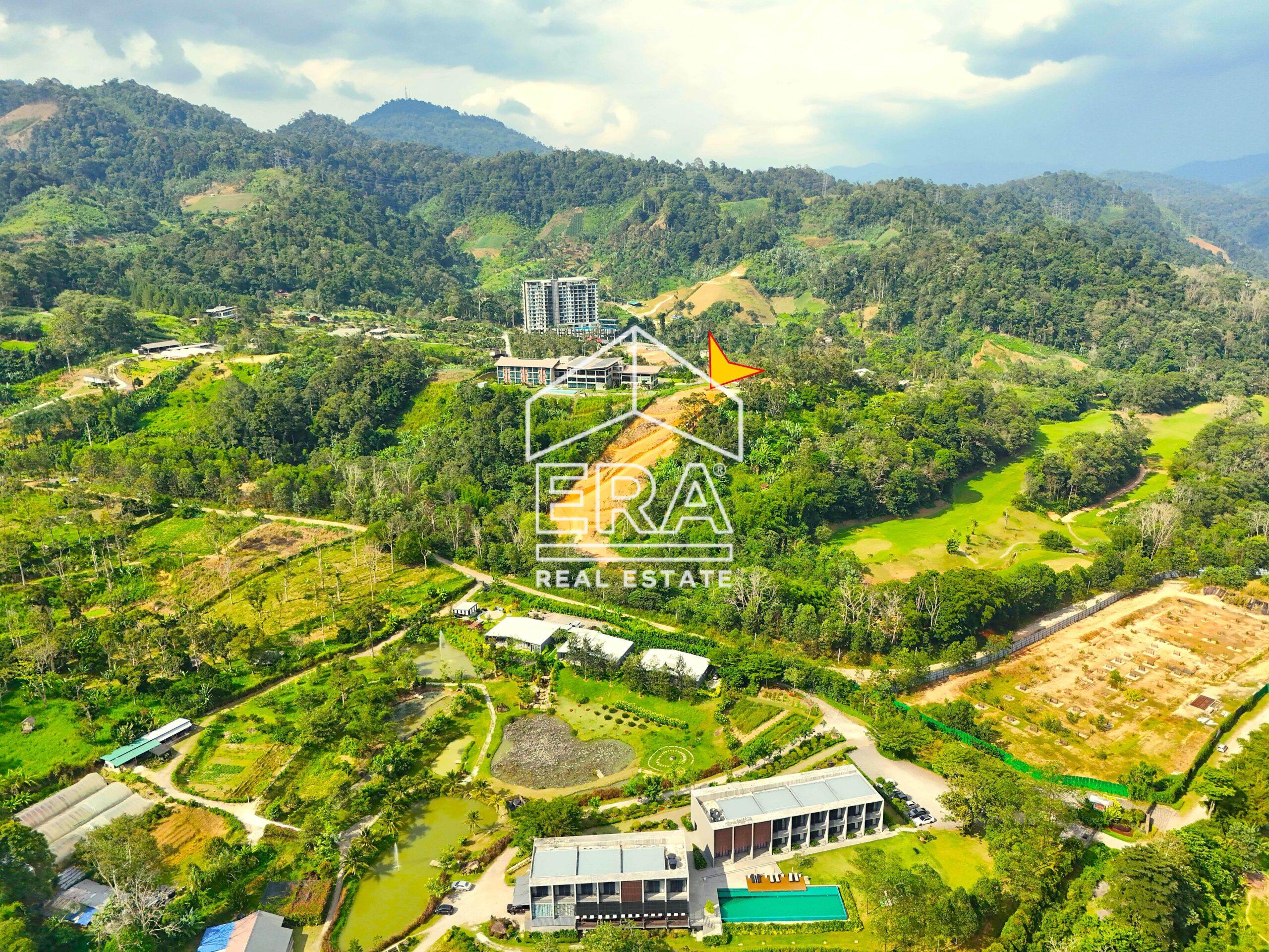 DJI_20240705161308_0405_D_1-crushimage-scaled-1