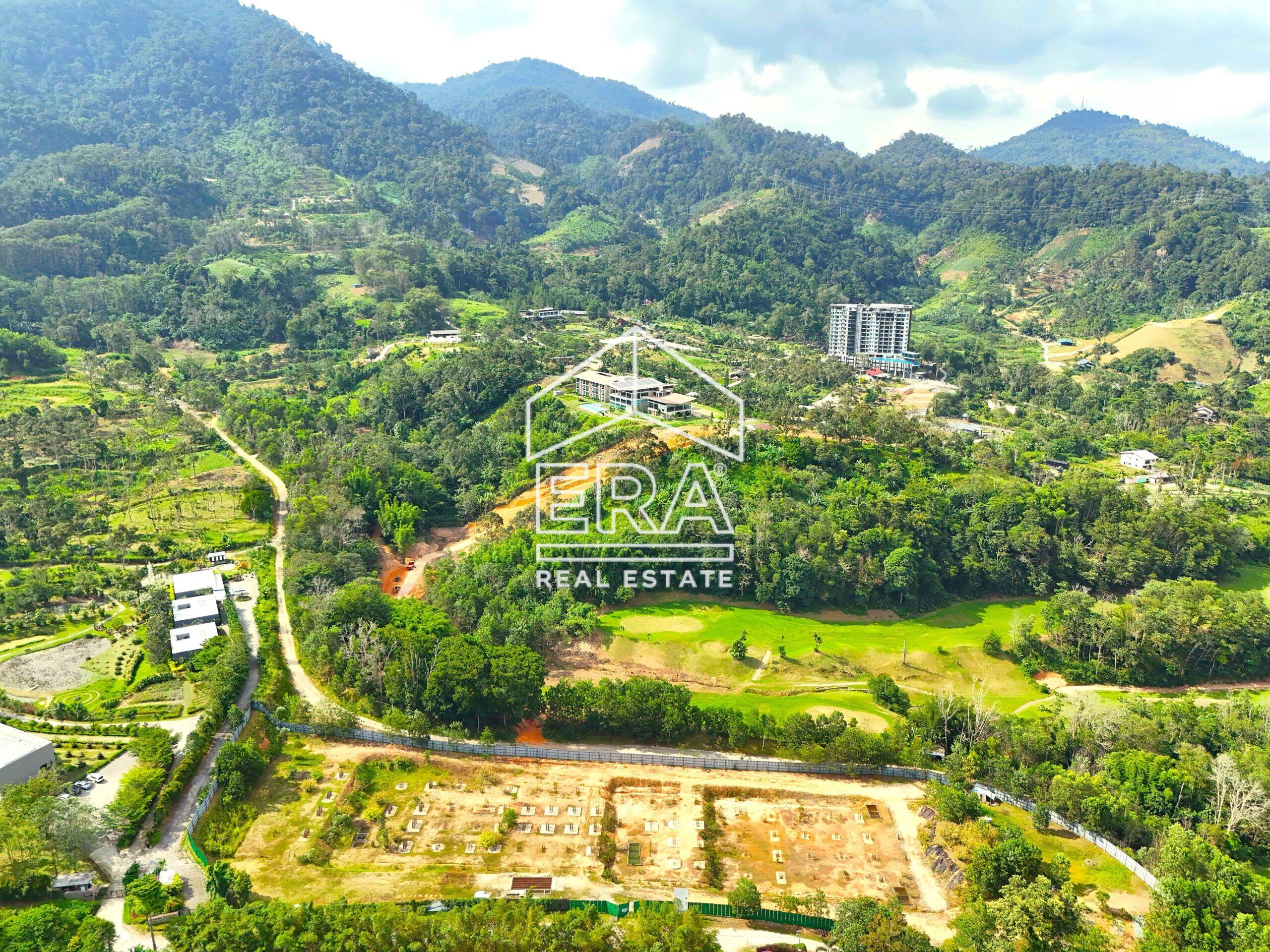 DJI_20240705161347_0406_D-crushimage-scaled-1