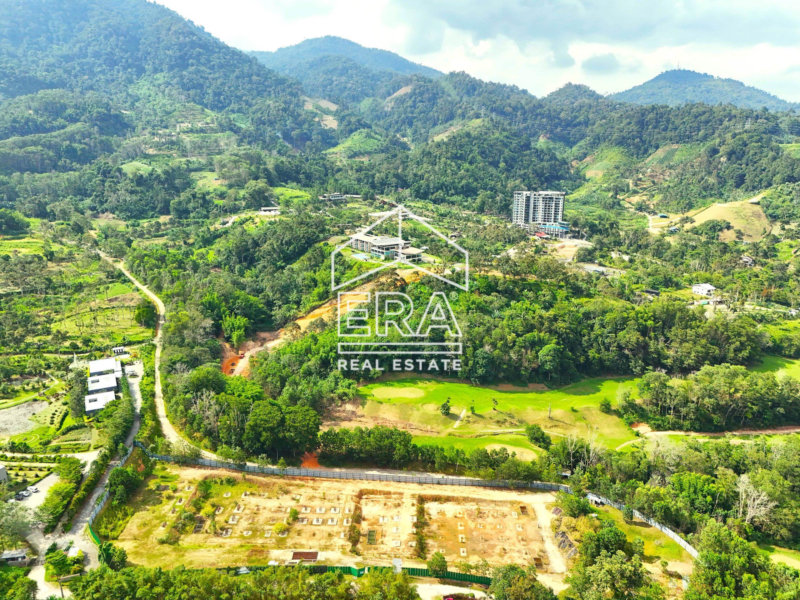 DJI_20240705161351_0407_D-crushimage-scaled-1