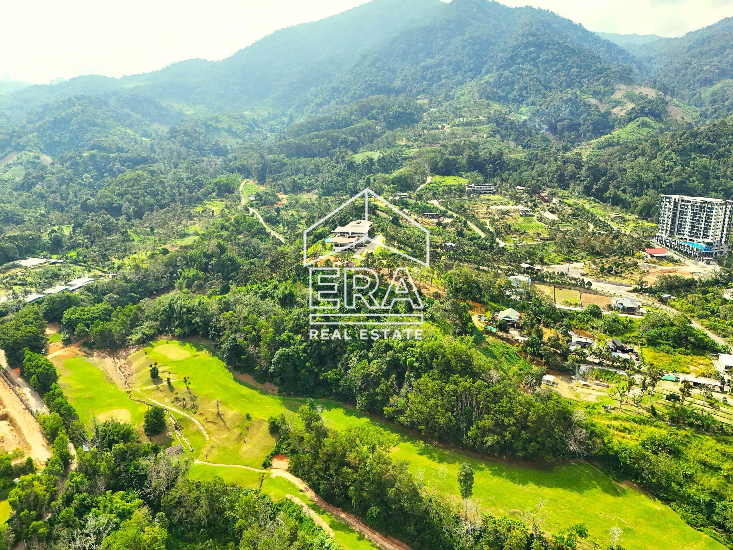 DJI_20240705161429_0408_D-crushimage-scaled-1