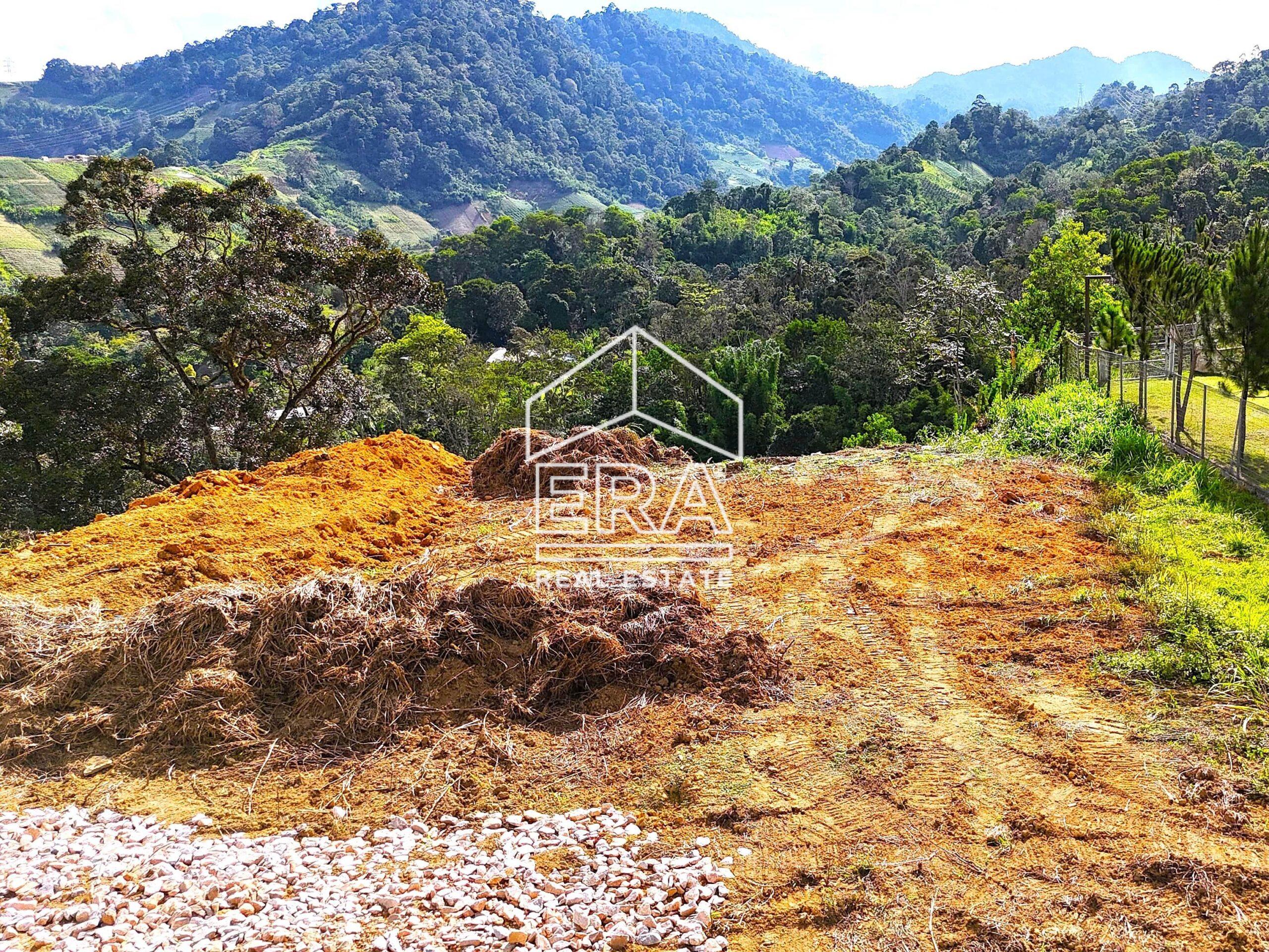 DJI_20240708163439_0425_D-crushimage_cropped-scaled-1