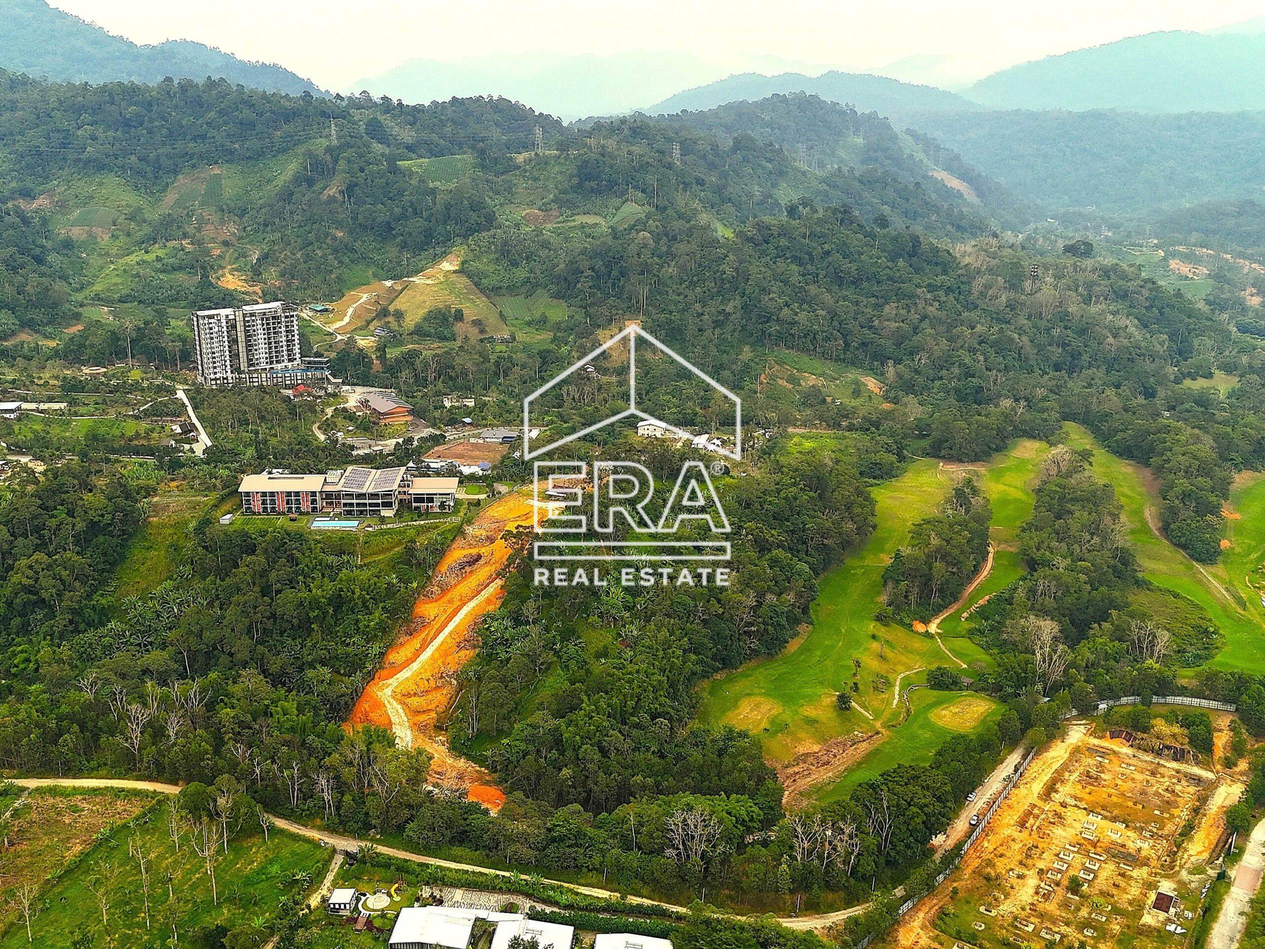 DJI_20240712190747_0493_D-crushimage_cropped-scaled-1