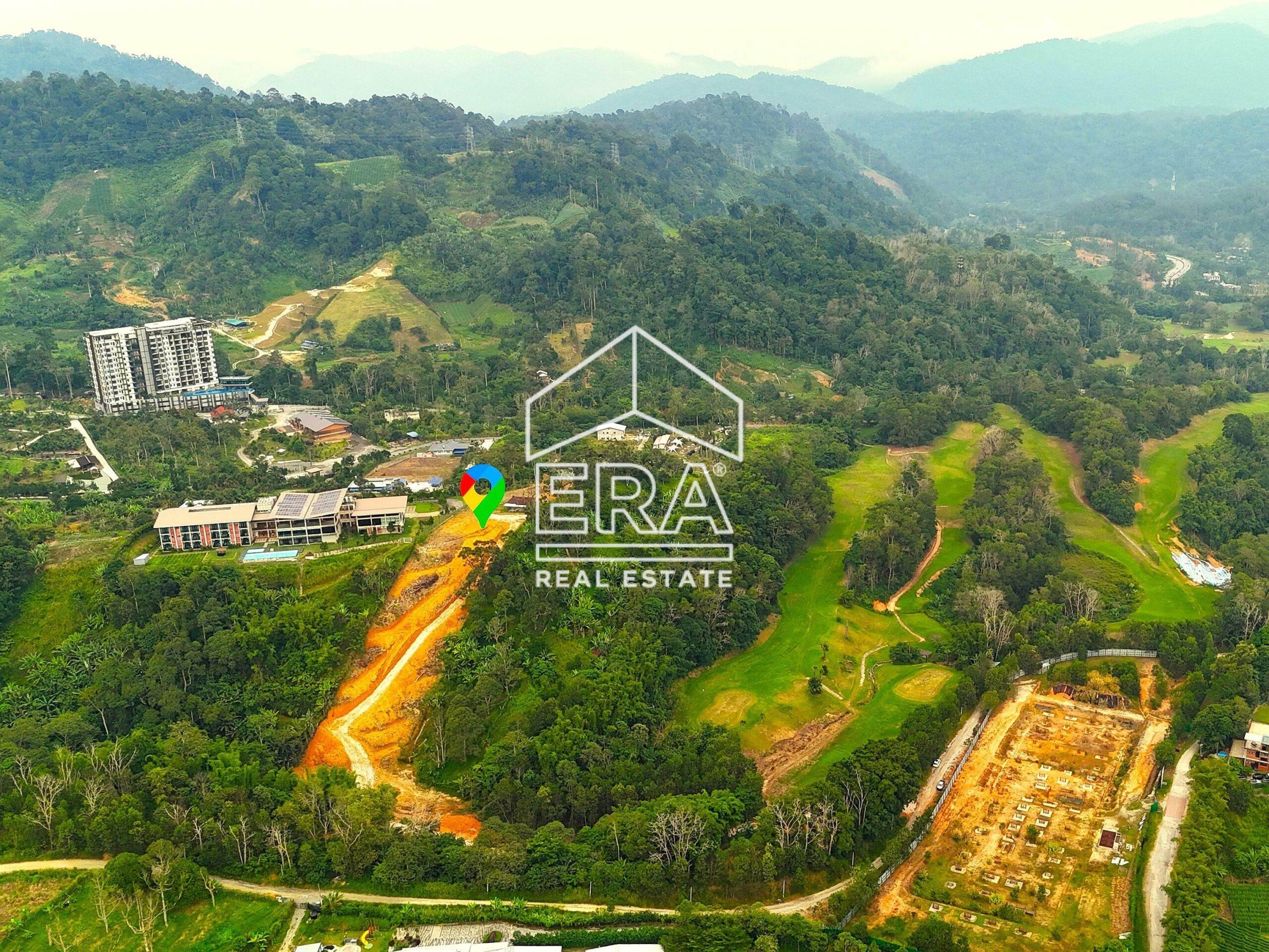 DJI_20240712190758_0494_D_1-crushimage_cropped-scaled-1