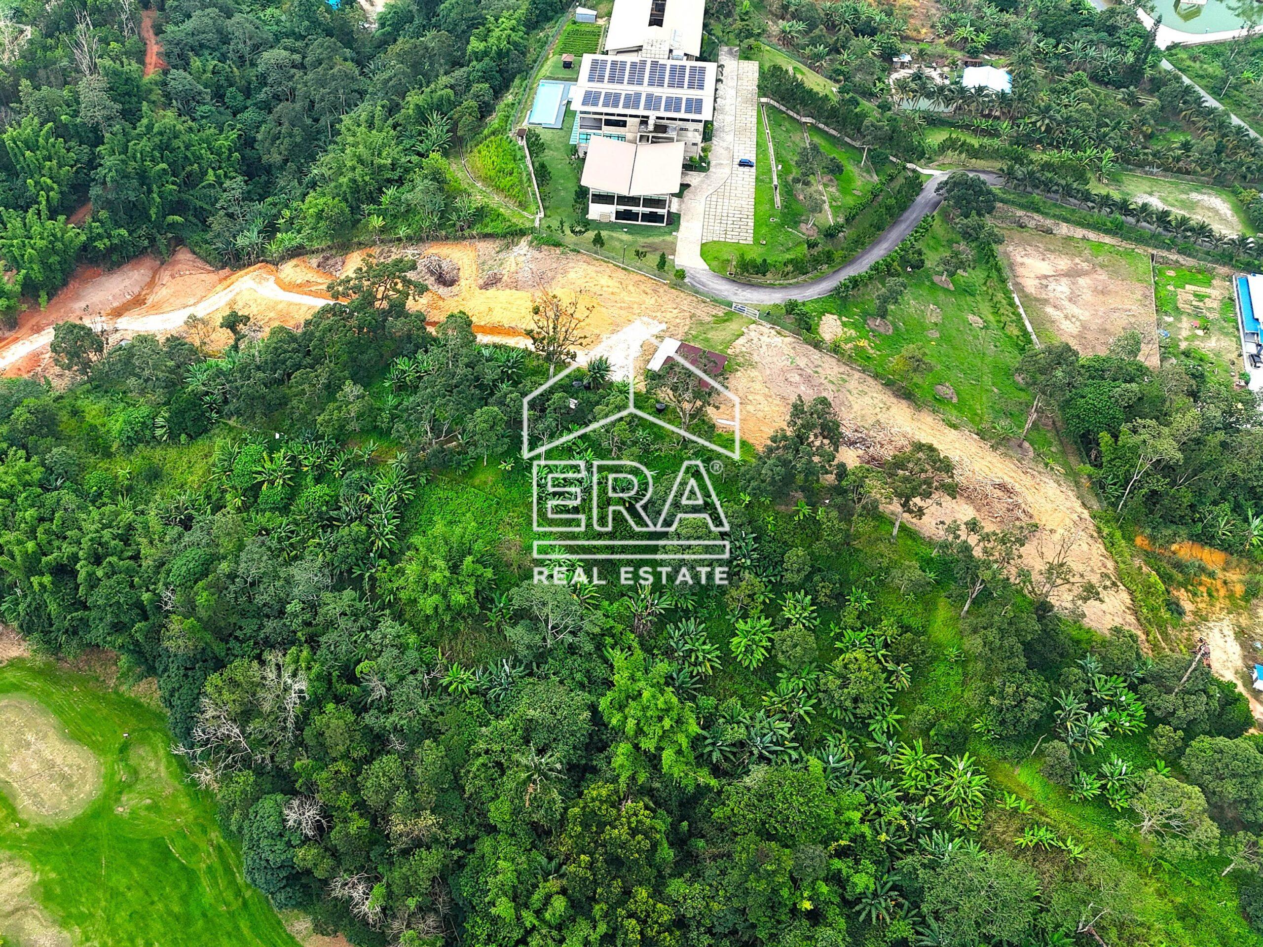 DJI_20240712191126_0499_D-crushimage-scaled-1