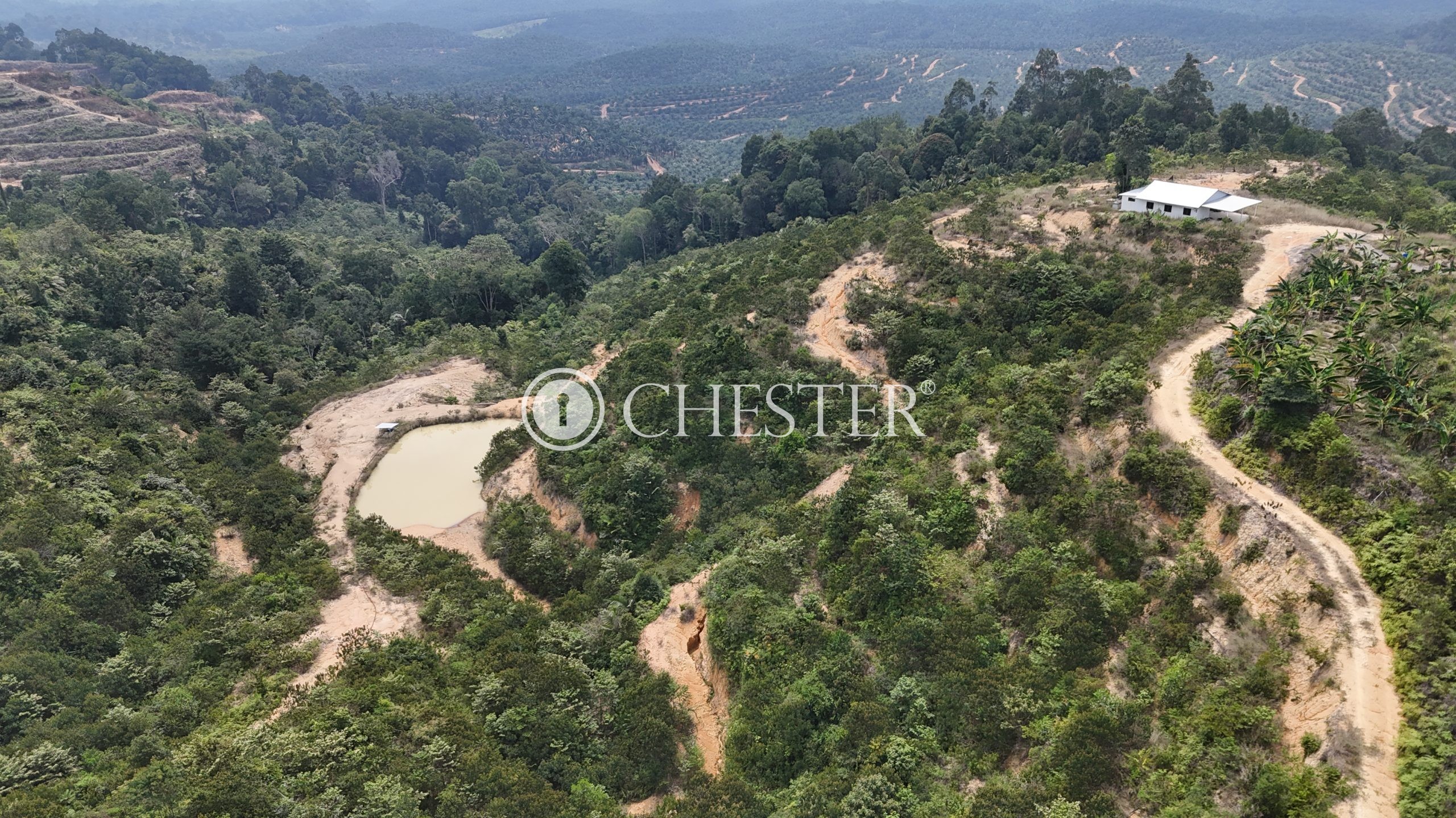 DJI_20240722121359_0029_D-scaled-1