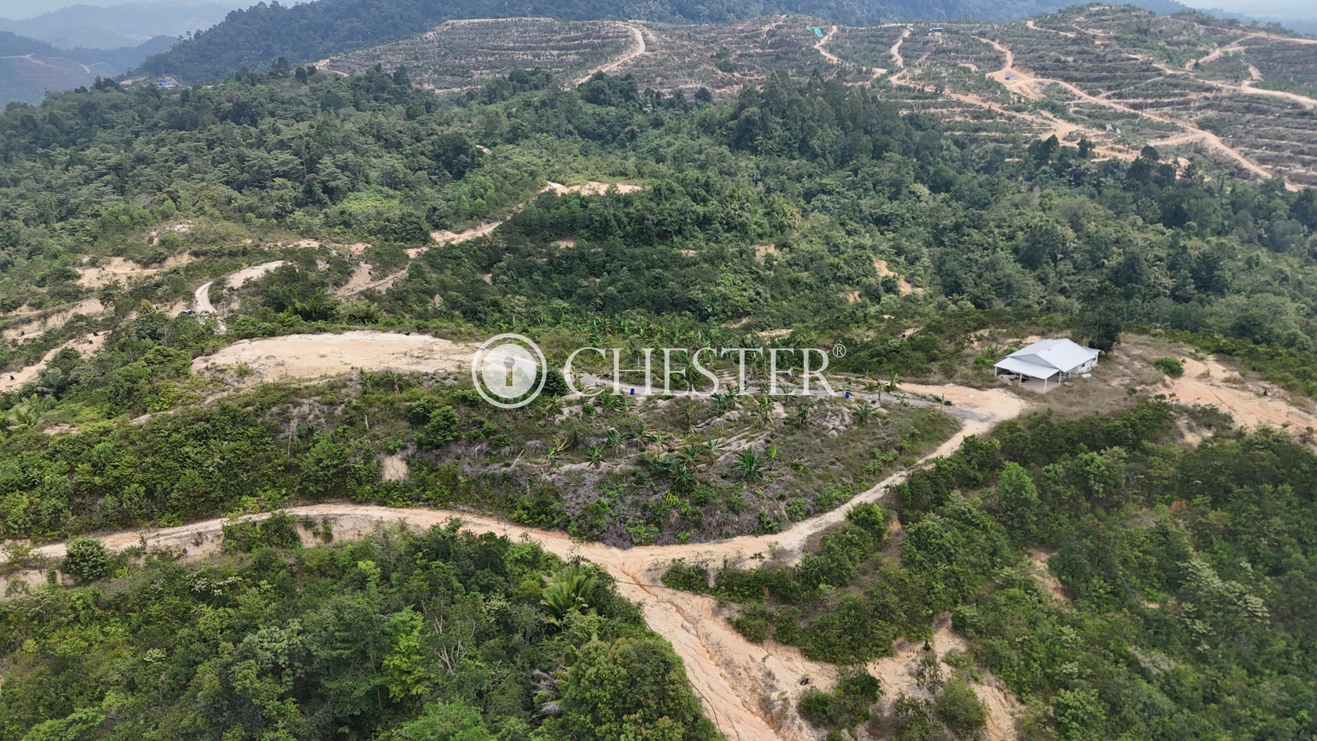 DJI_20240722121742_0035_D-scaled-2