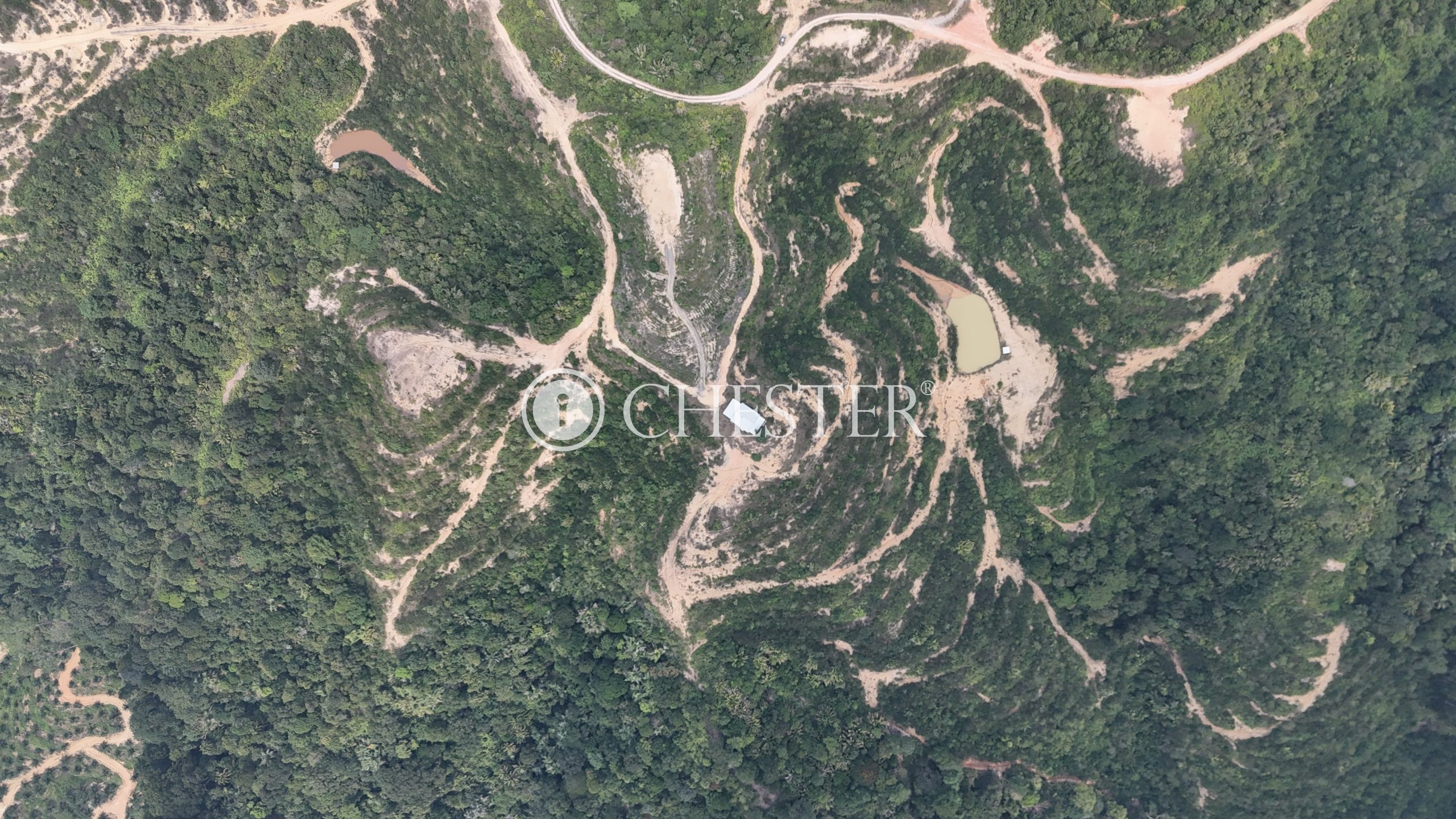 DJI_20240722121923_0036_D-scaled-1