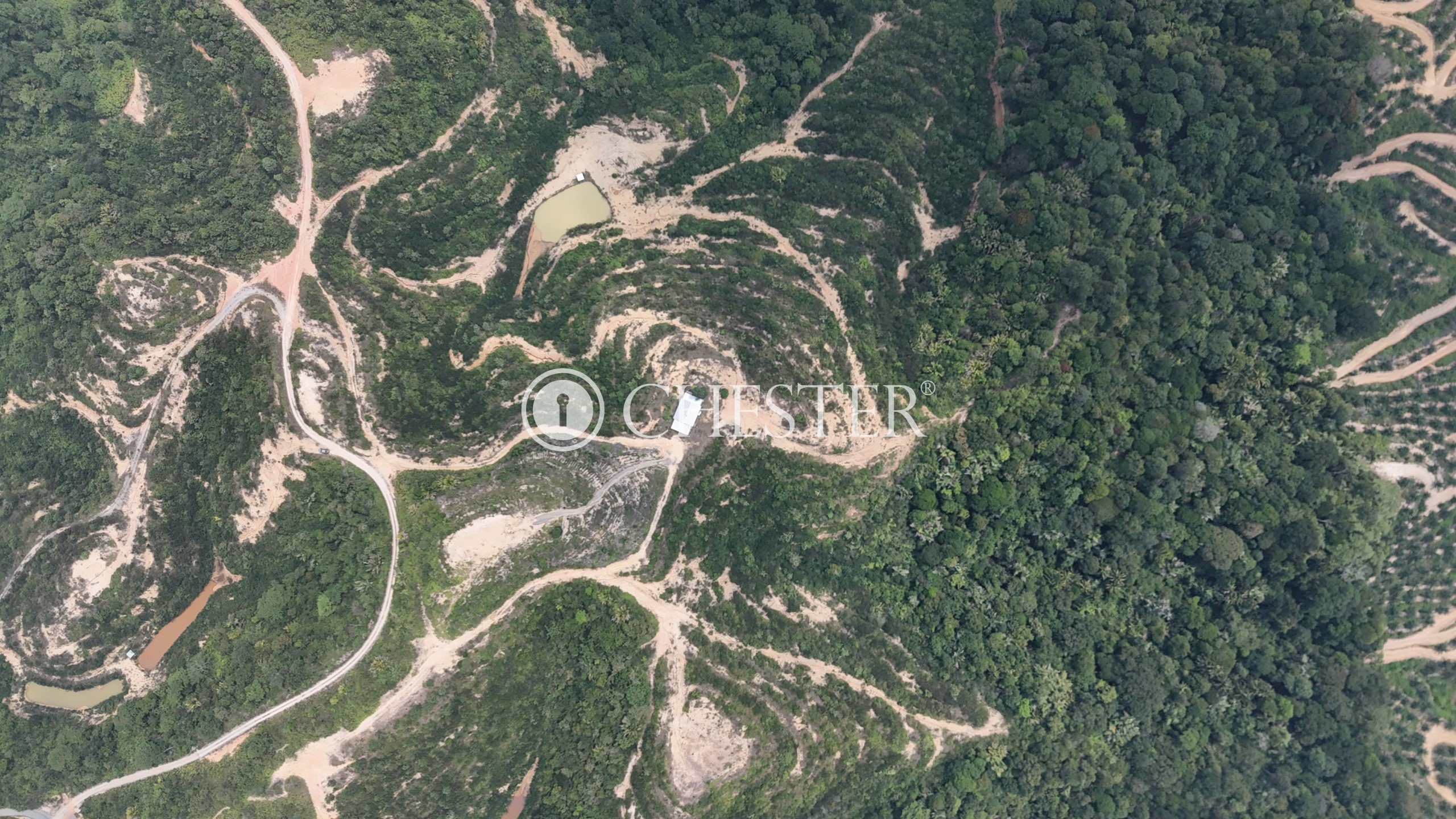 DJI_20240722121945_0039_D-scaled-1