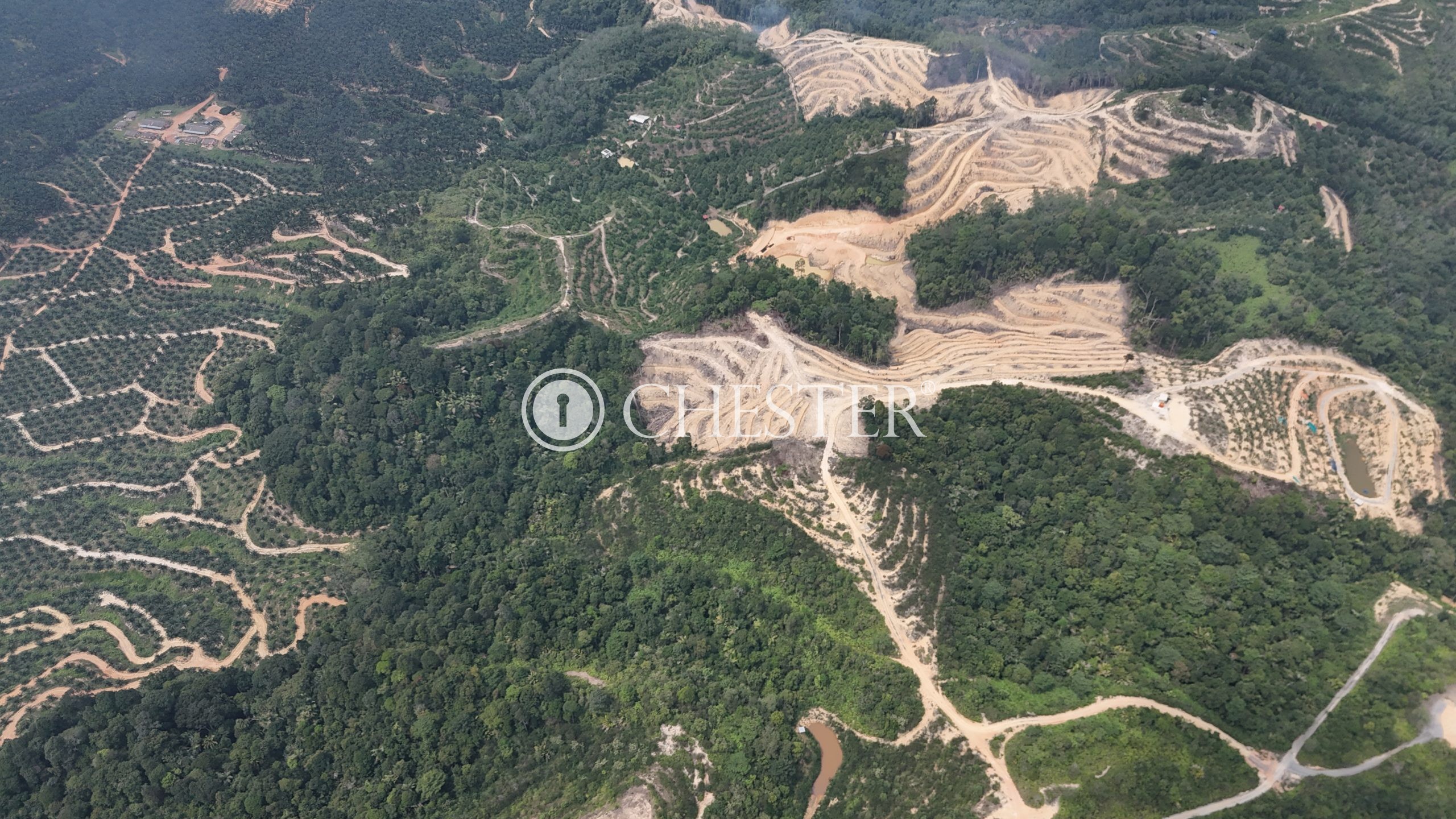 DJI_20240722122100_0044_D-scaled-1