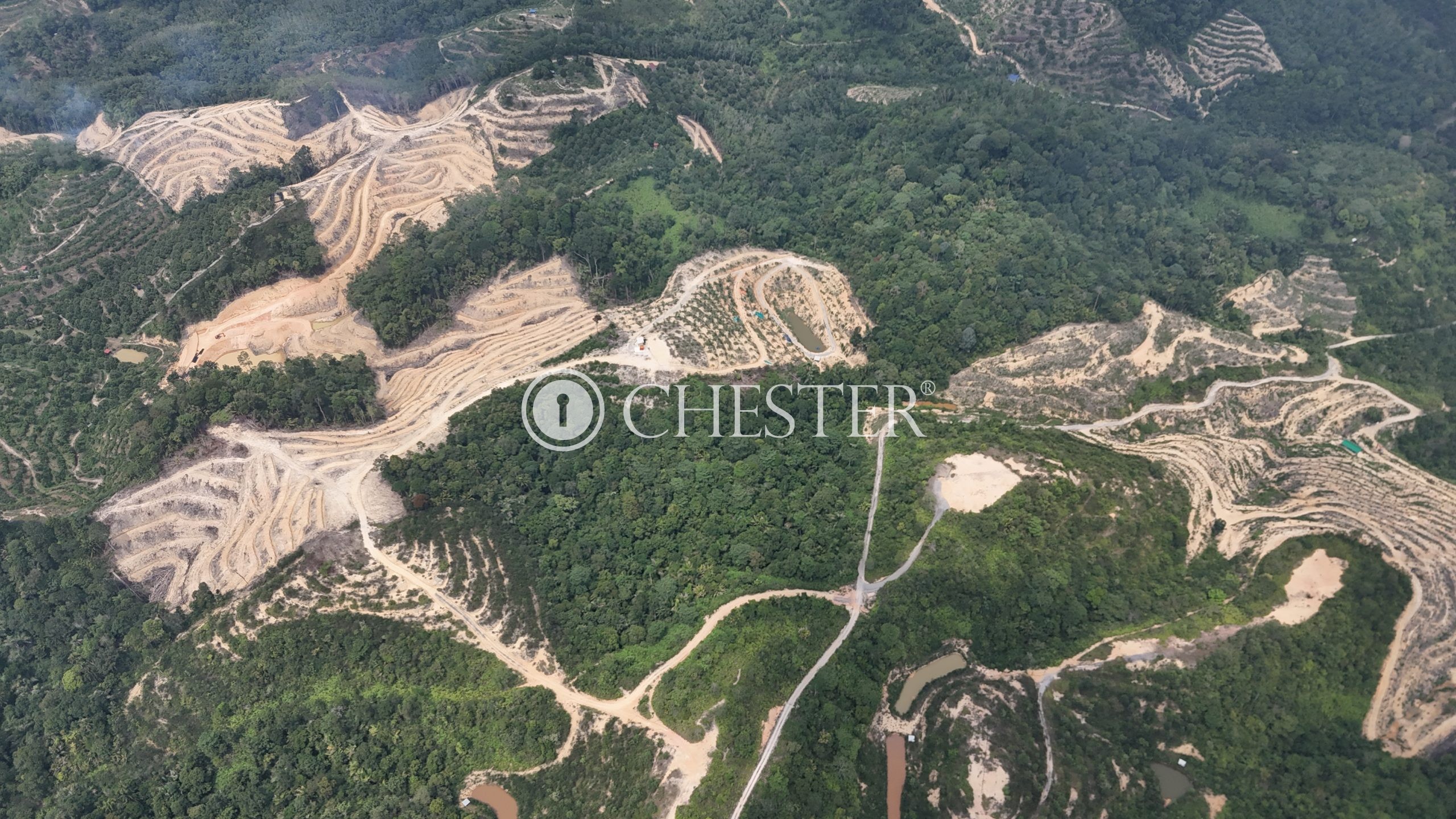 DJI_20240722122104_0045_D-scaled-1