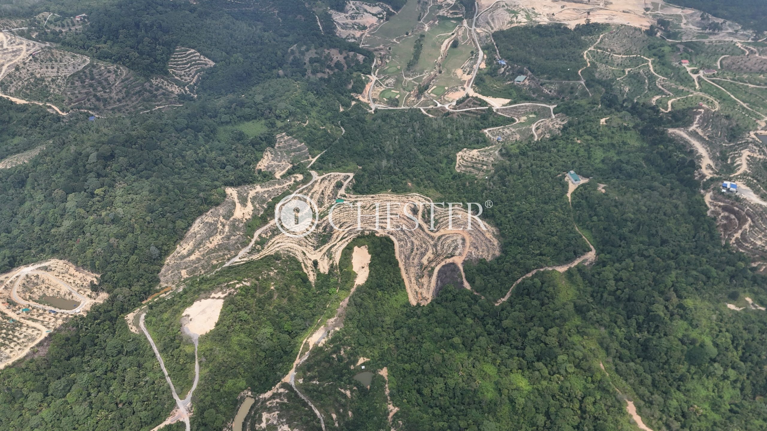 DJI_20240722122110_0046_D-scaled-1