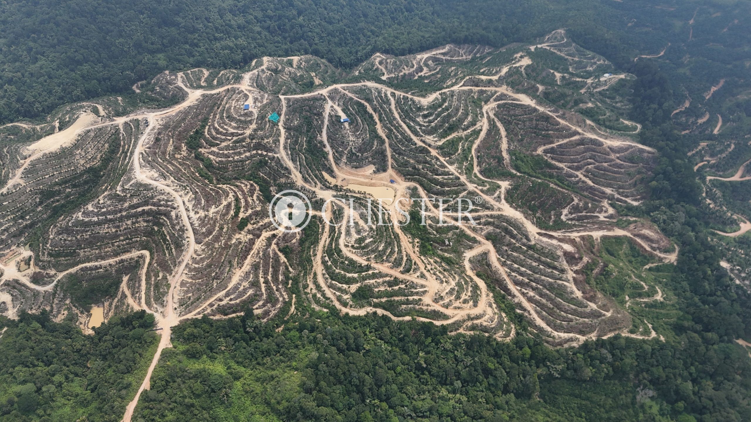 DJI_20240722122125_0048_D-scaled-1