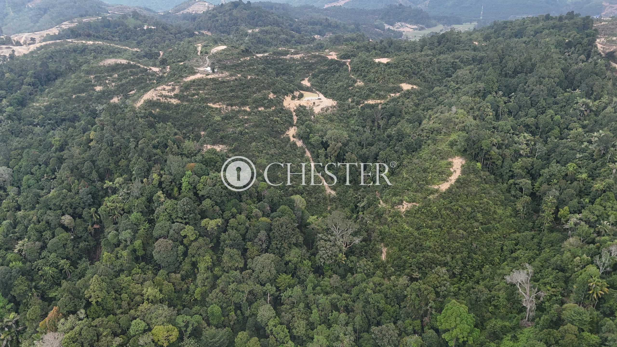 DJI_20240722123850_0057_D-scaled-1