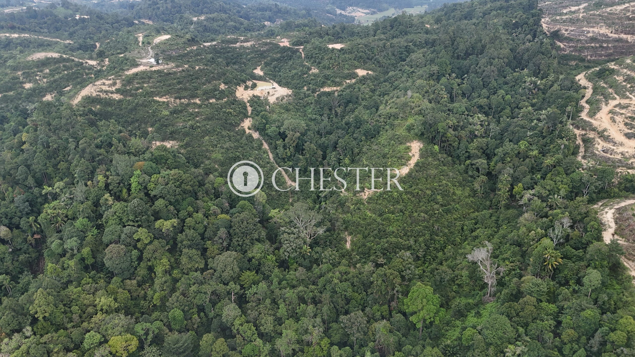 DJI_20240722123910_0058_D-scaled-1