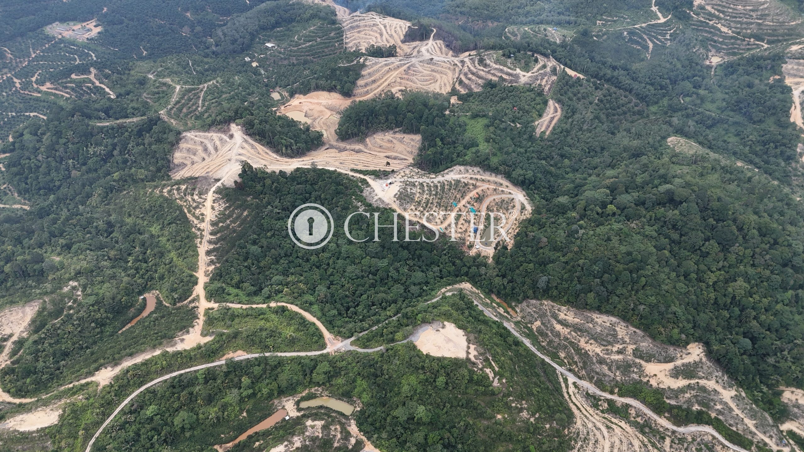 DJI_20240722124509_0070_D-scaled-1