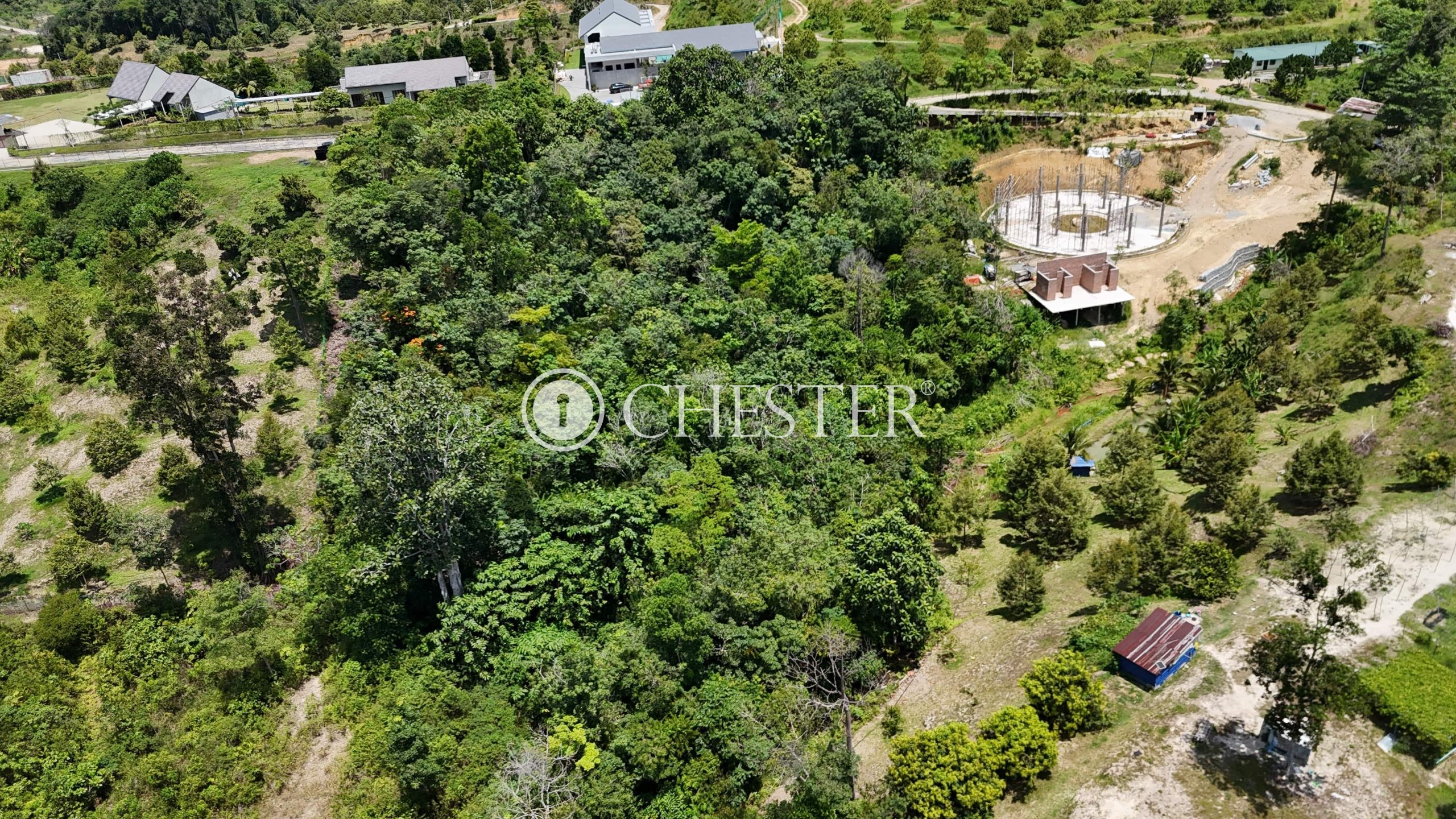 DJI_20240810131957_0038_D-scaled-1