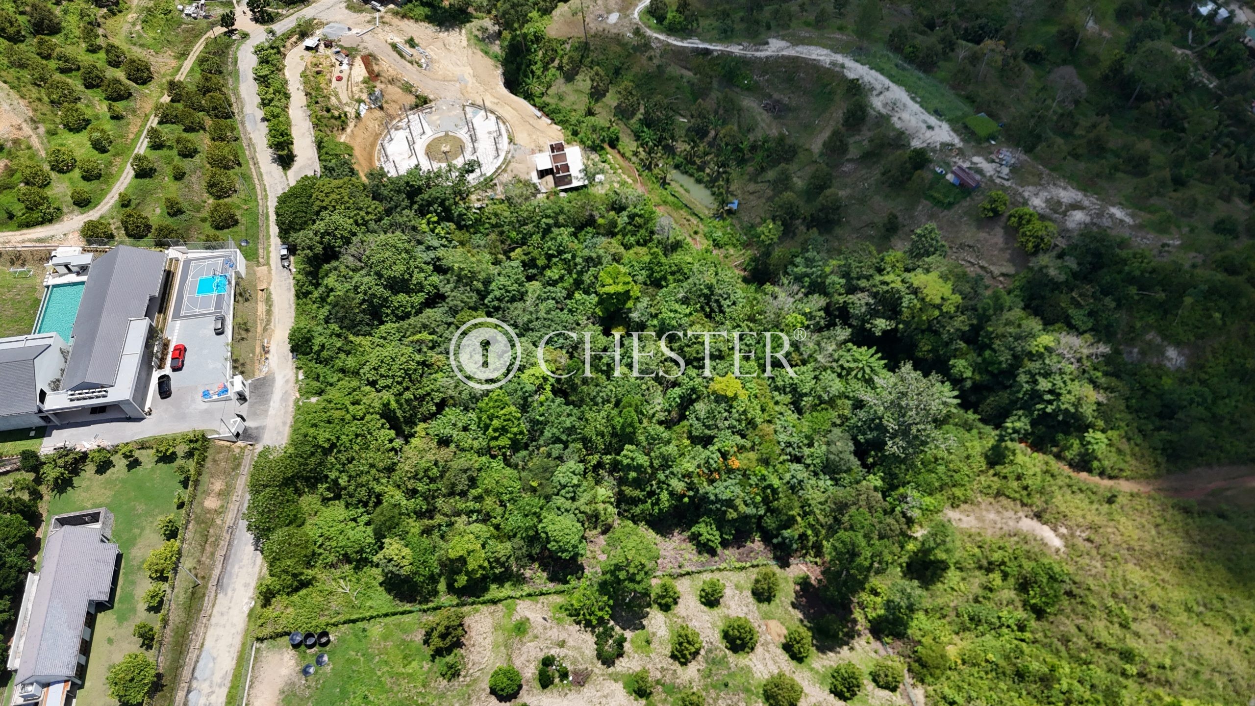 DJI_20240810132733_0053_D-scaled-1