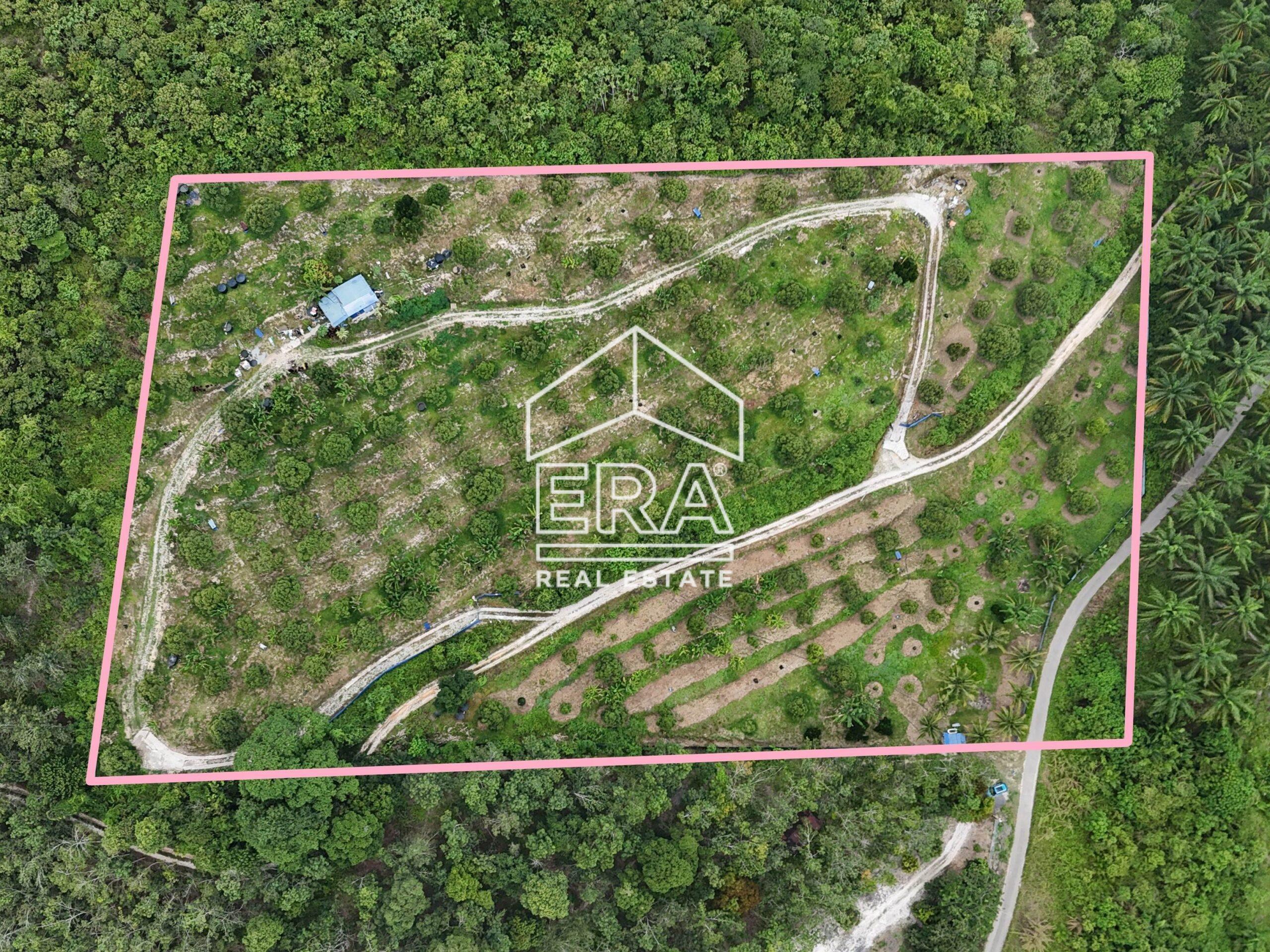 DJI_20240819152151_0002_D_1-crushimage_cropped-scaled-1