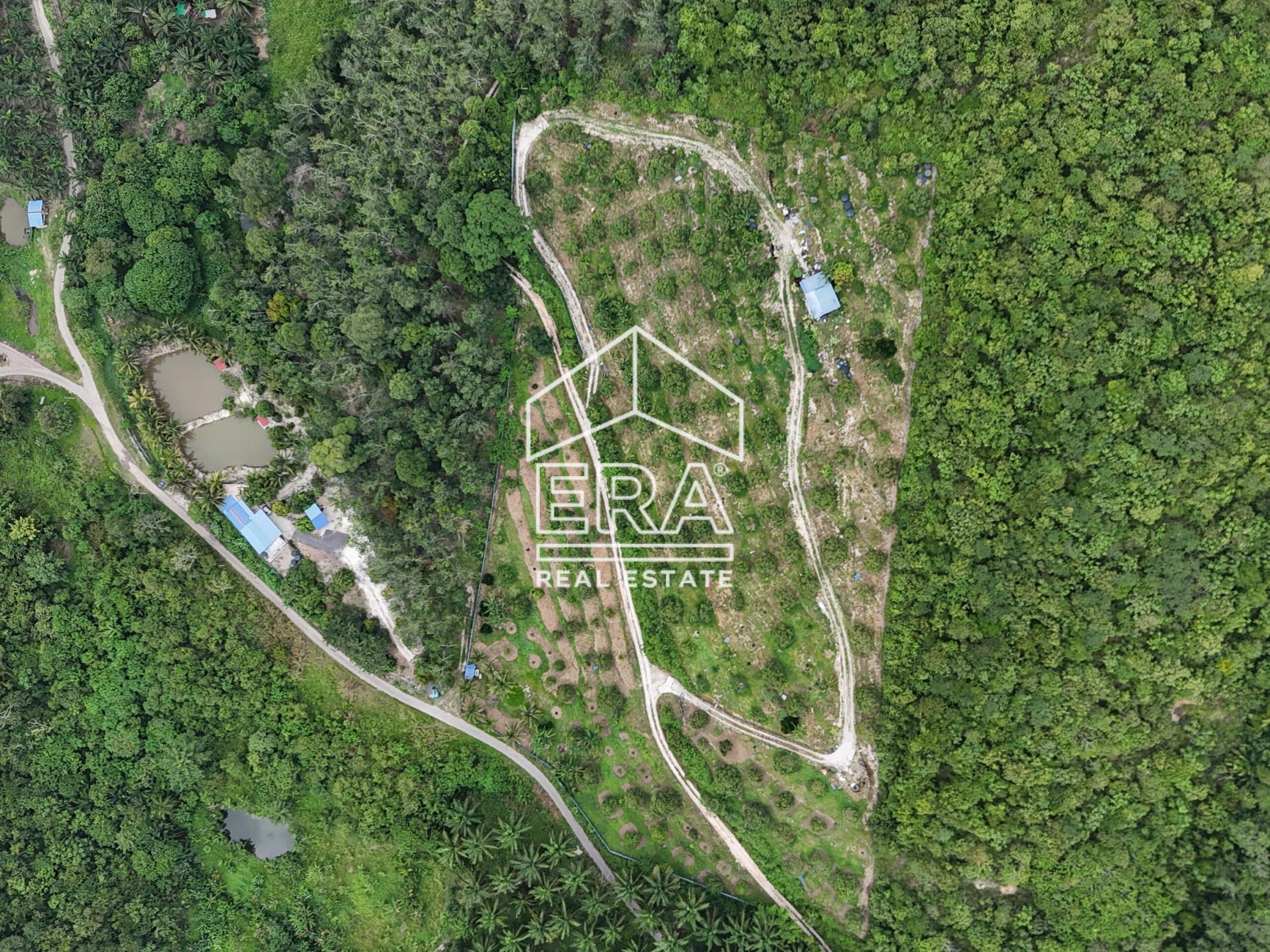 DJI_20240819152305_0005_D-crushimage_cropped-scaled-1