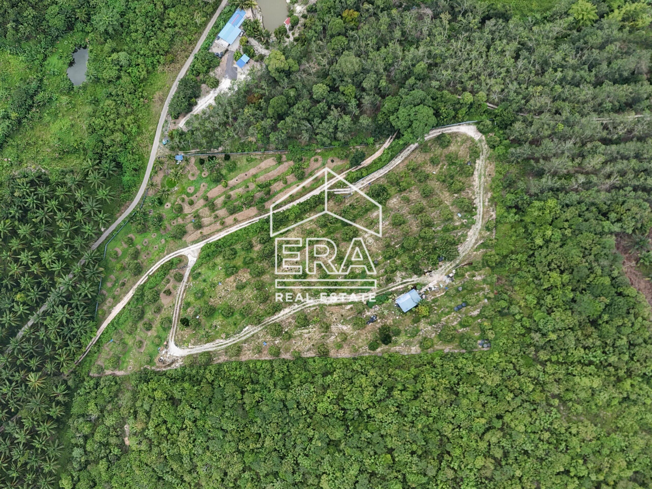 DJI_20240819152315_0006_D-crushimage_cropped-scaled-1