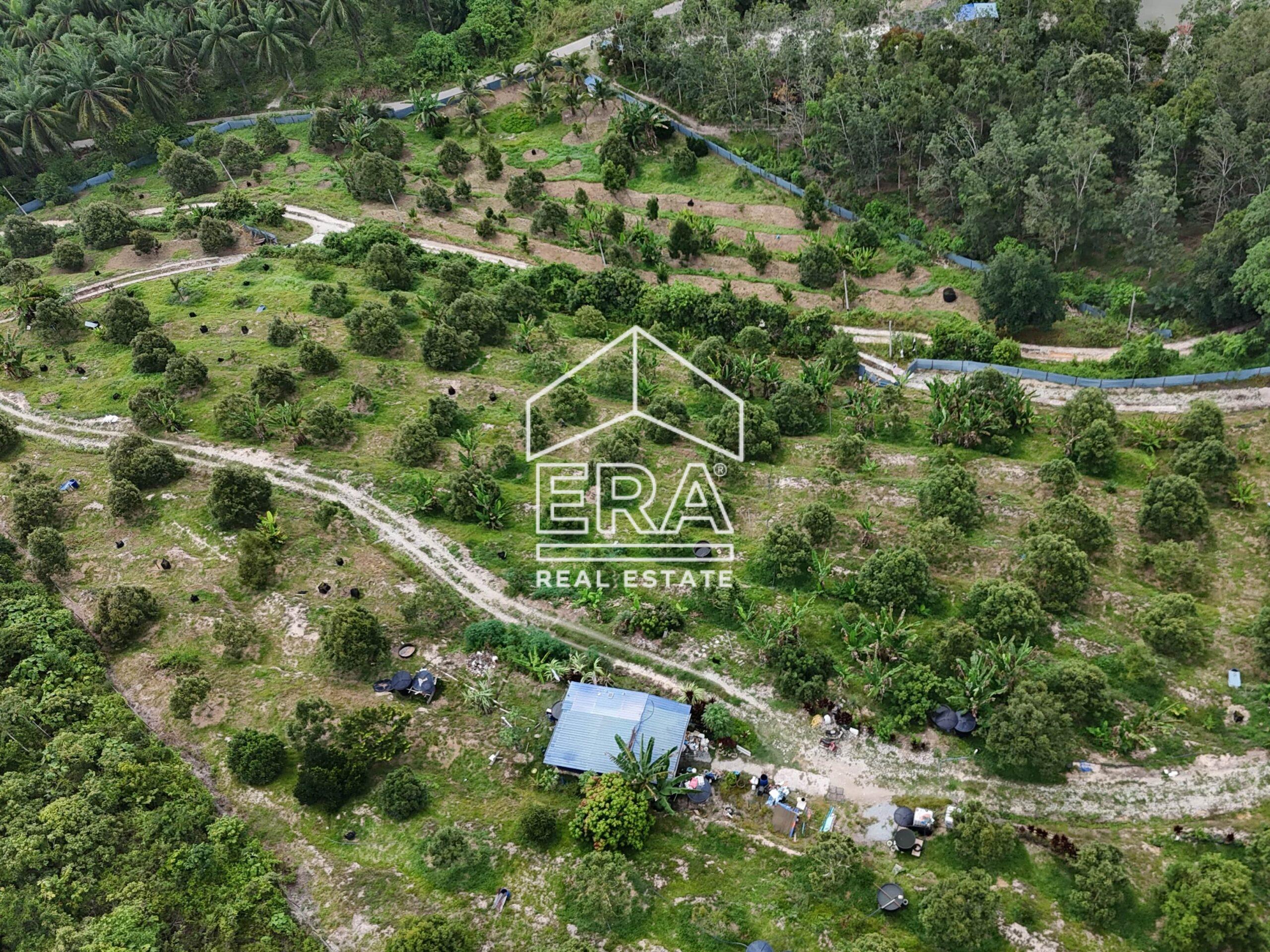 DJI_20240819152537_0010_D-crushimage_cropped-scaled-2