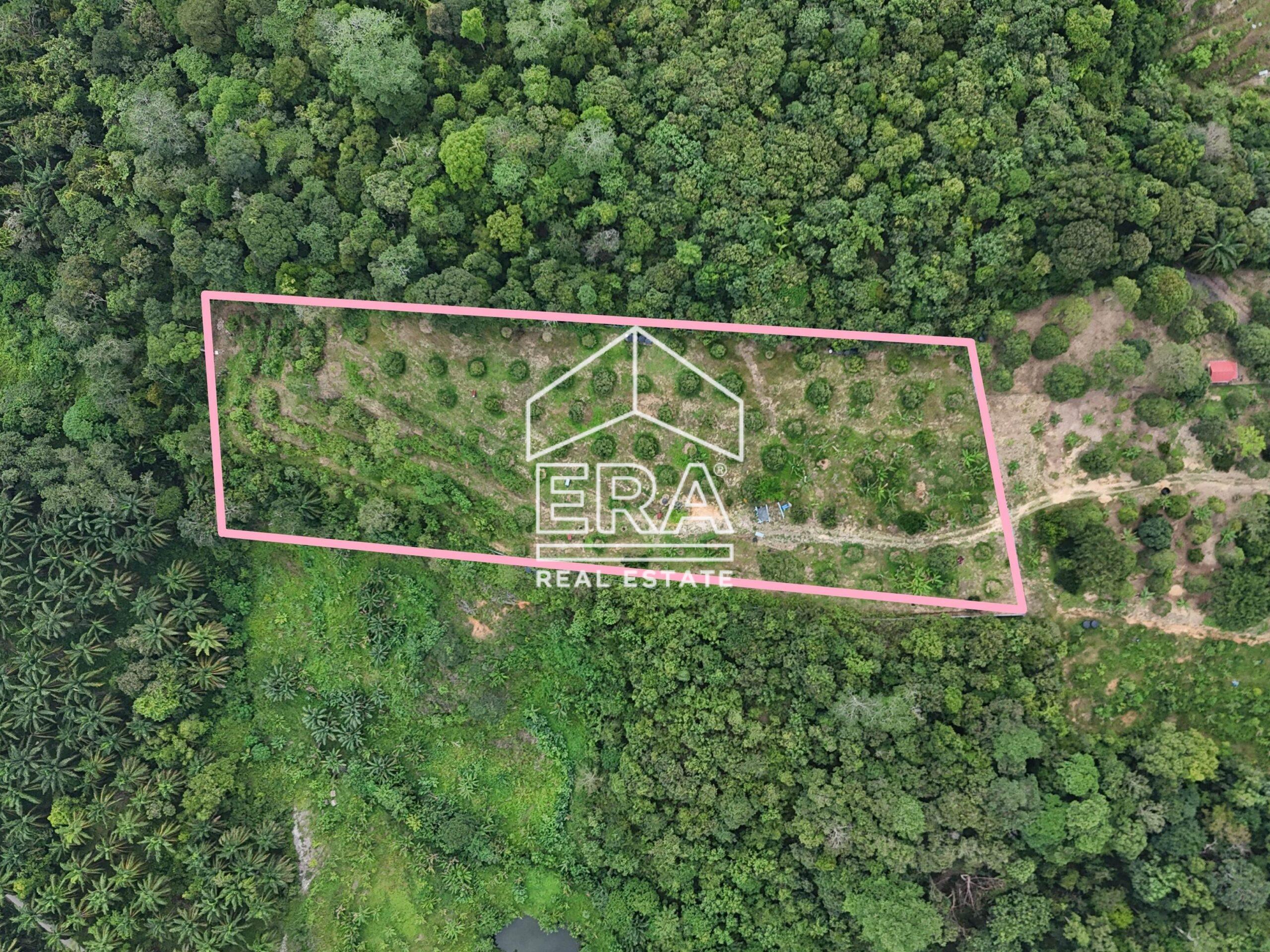 DJI_20240819152751_0015_D_1-crushimage_cropped-scaled-1