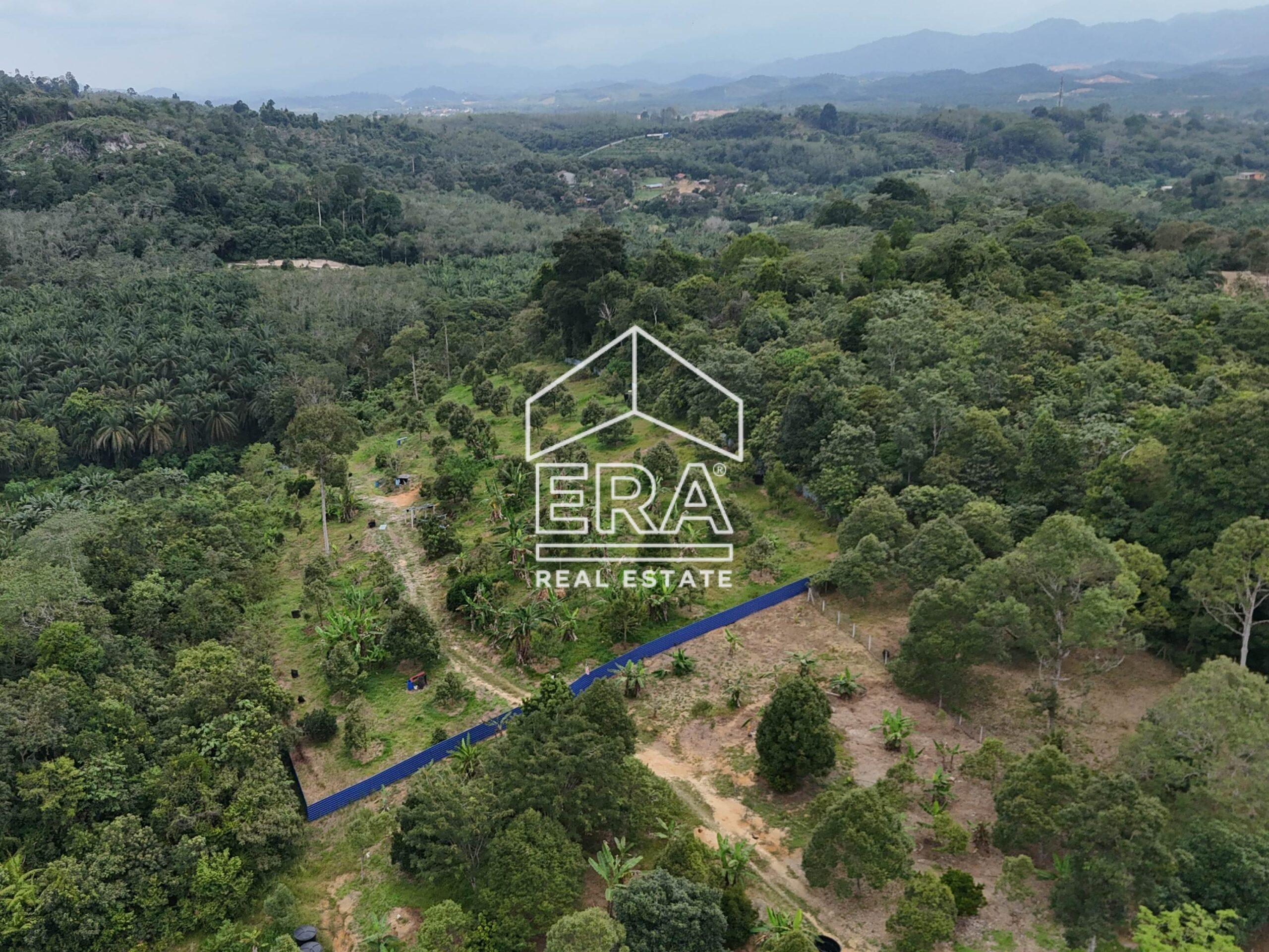 DJI_20240819153157_0019_D-crushimage_cropped-scaled-1