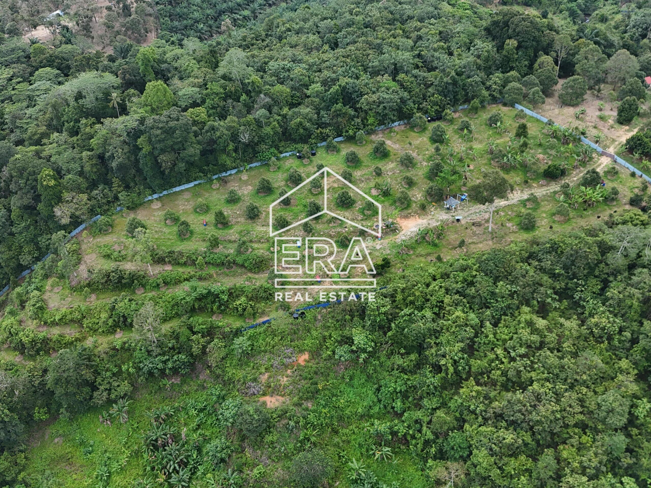 DJI_20240819153304_0020_D-crushimage_cropped-scaled-1