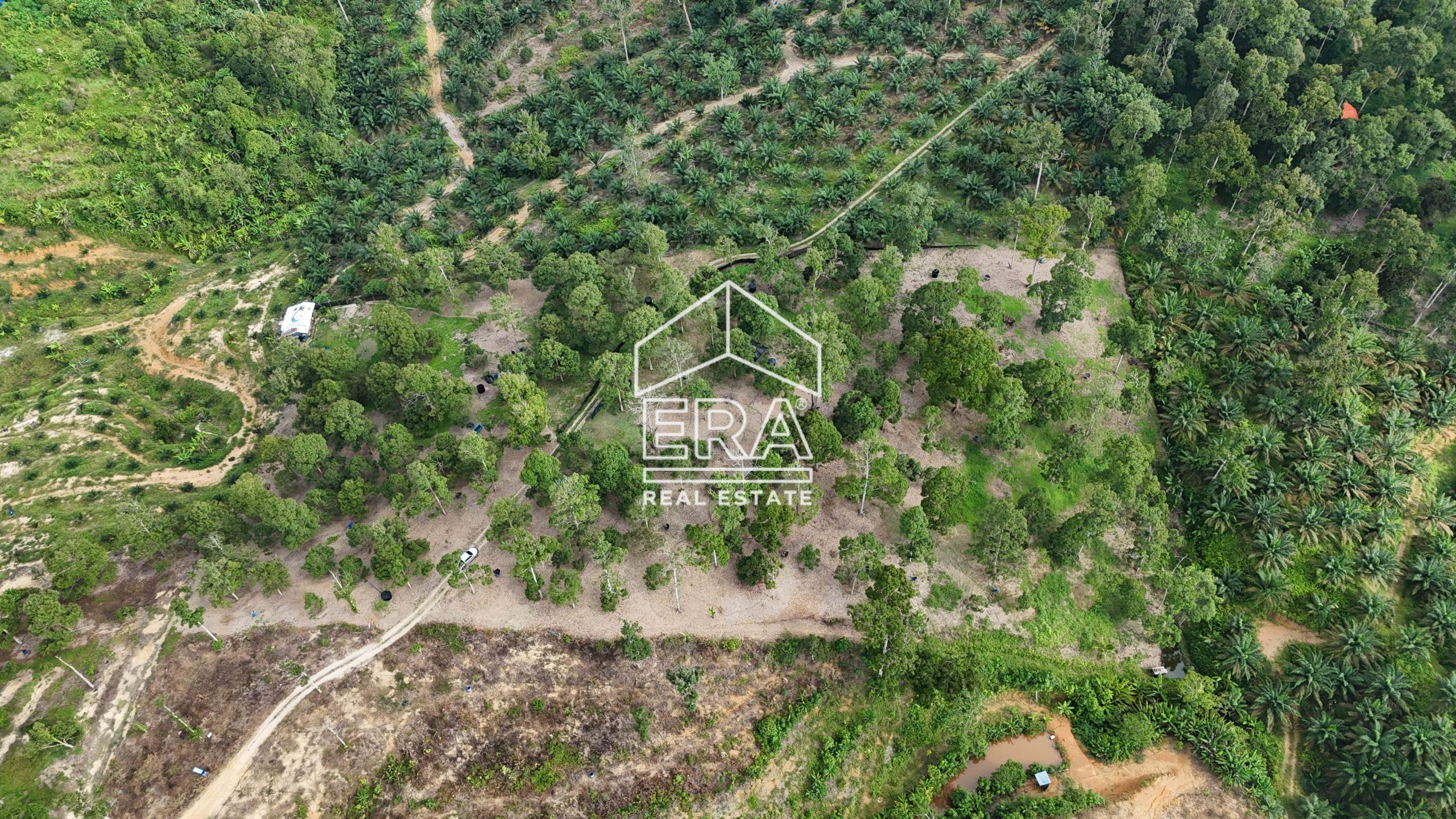 DJI_20241001164733_0571_D-min-scaled-1