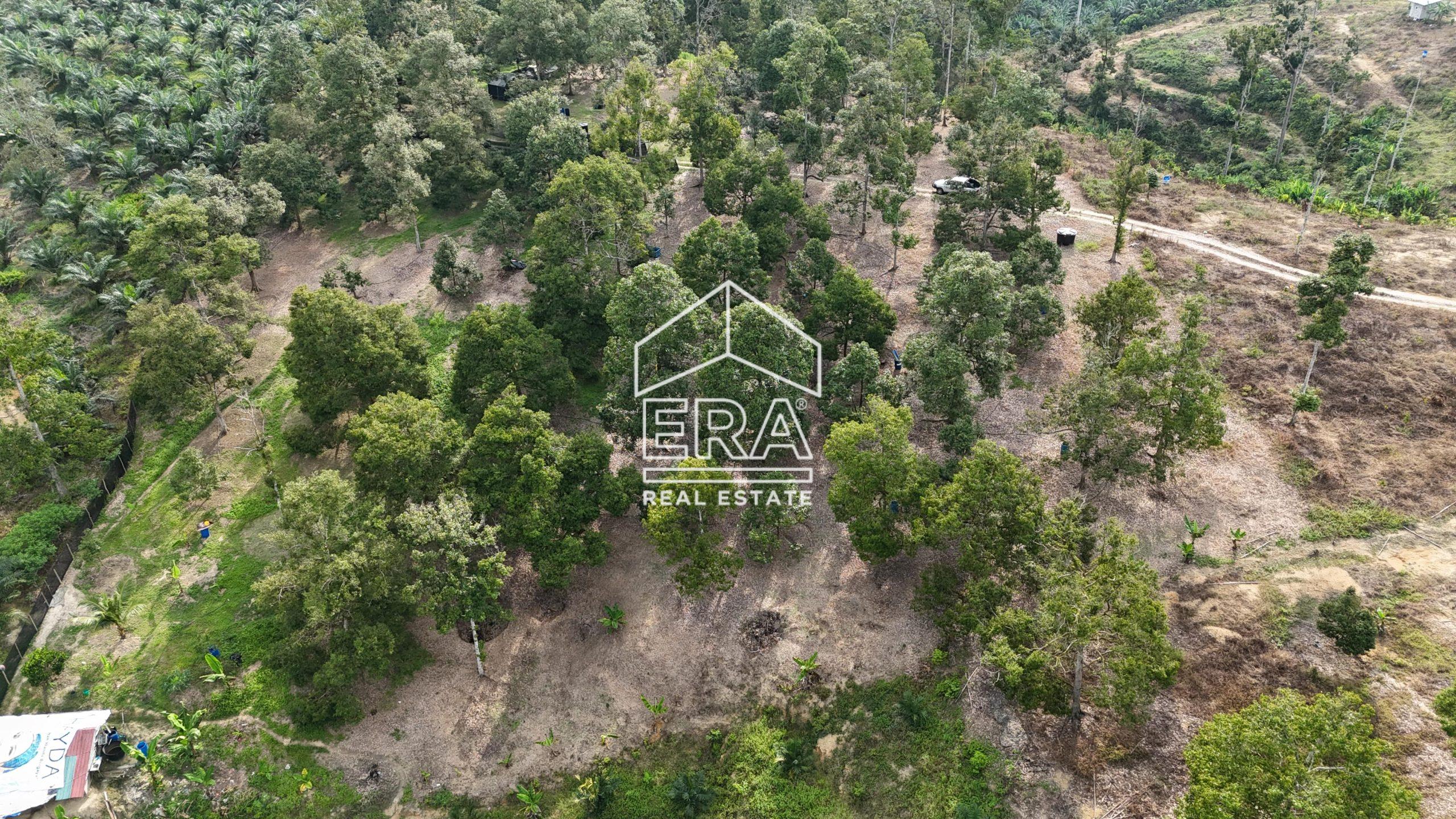 DJI_20241001164936_0575_D-min-scaled-1