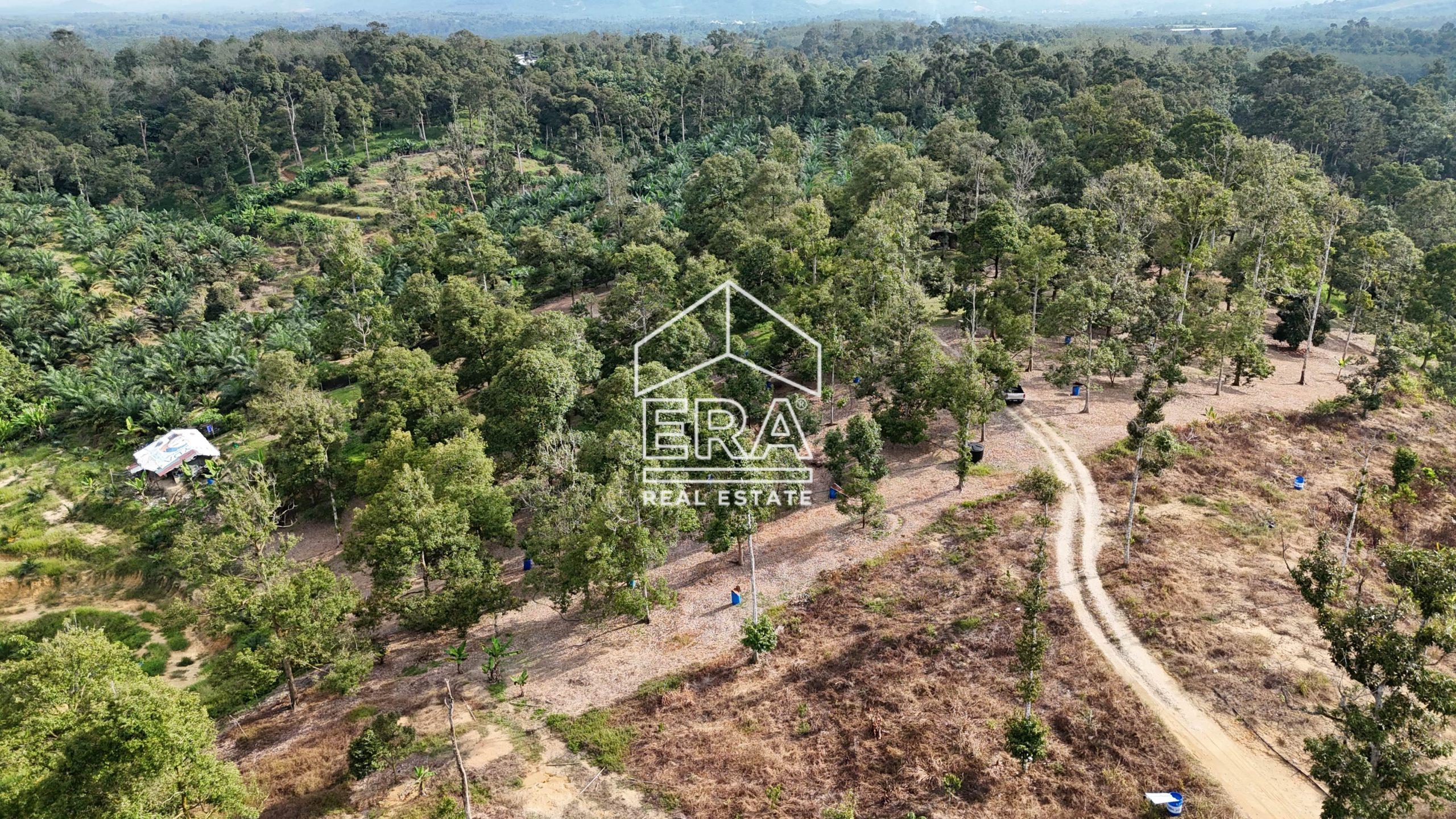 DJI_20241001164958_0576_D-min-scaled-1