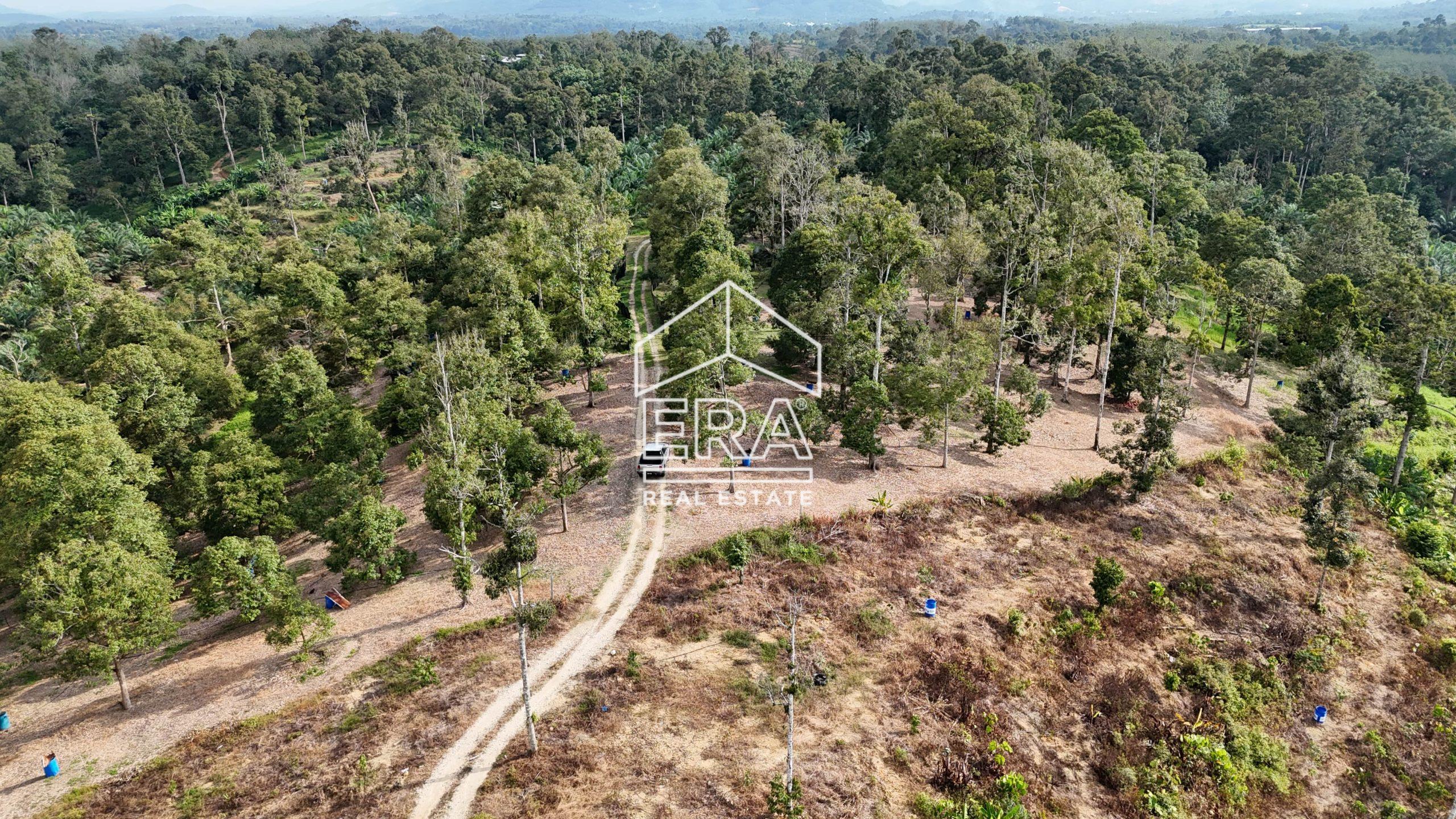 DJI_20241001165007_0577_D-min-scaled-1