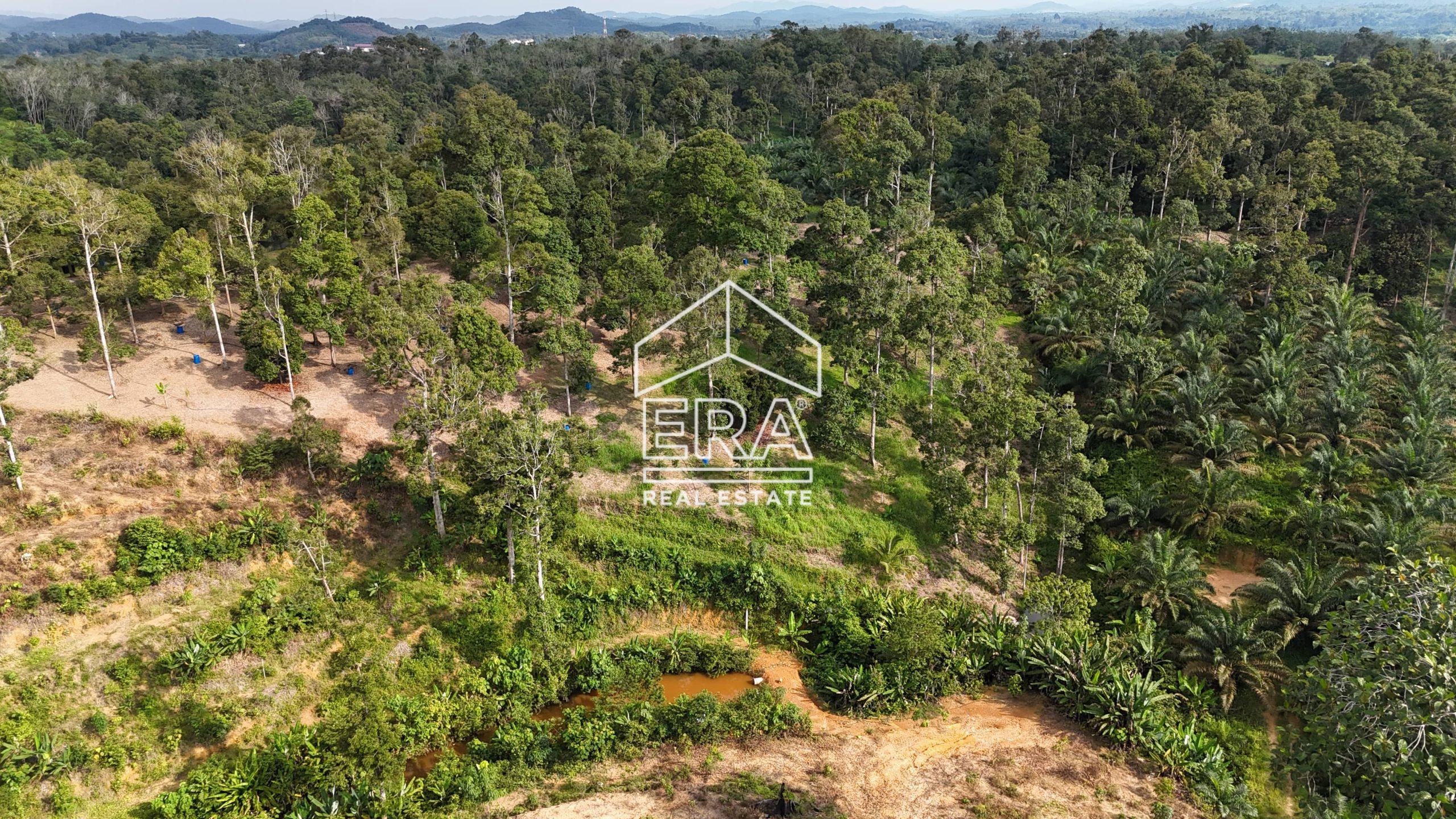 DJI_20241001165104_0579_D-min-1-scaled-2