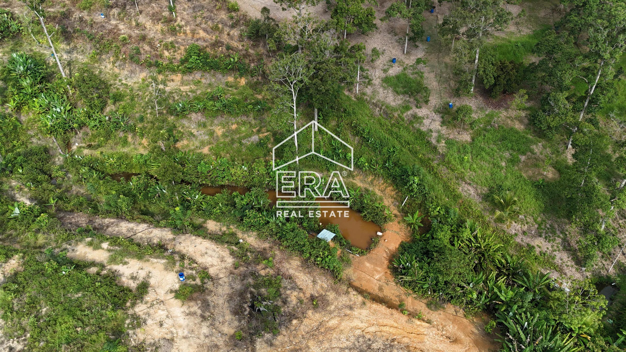 DJI_20241001165139_0583_D-min-scaled-1