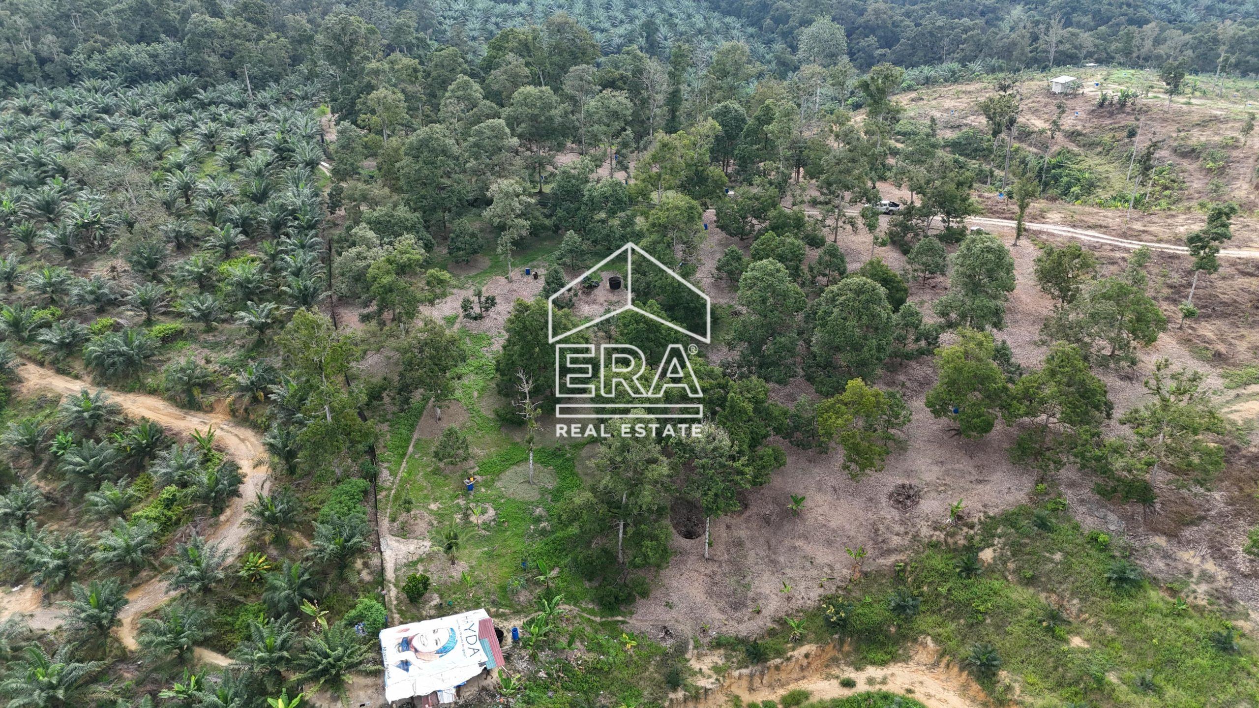 DJI_20241001165424_0588_D-min-scaled-1