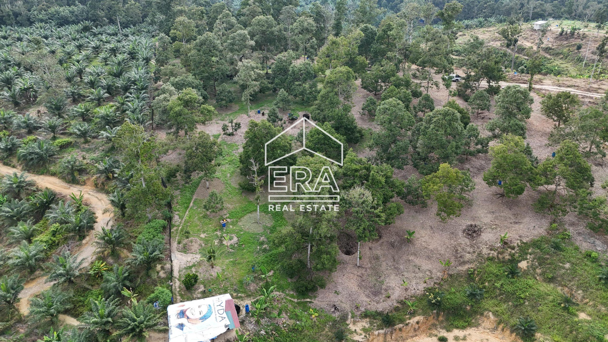 DJI_20241001165444_0591_D-min-scaled-1