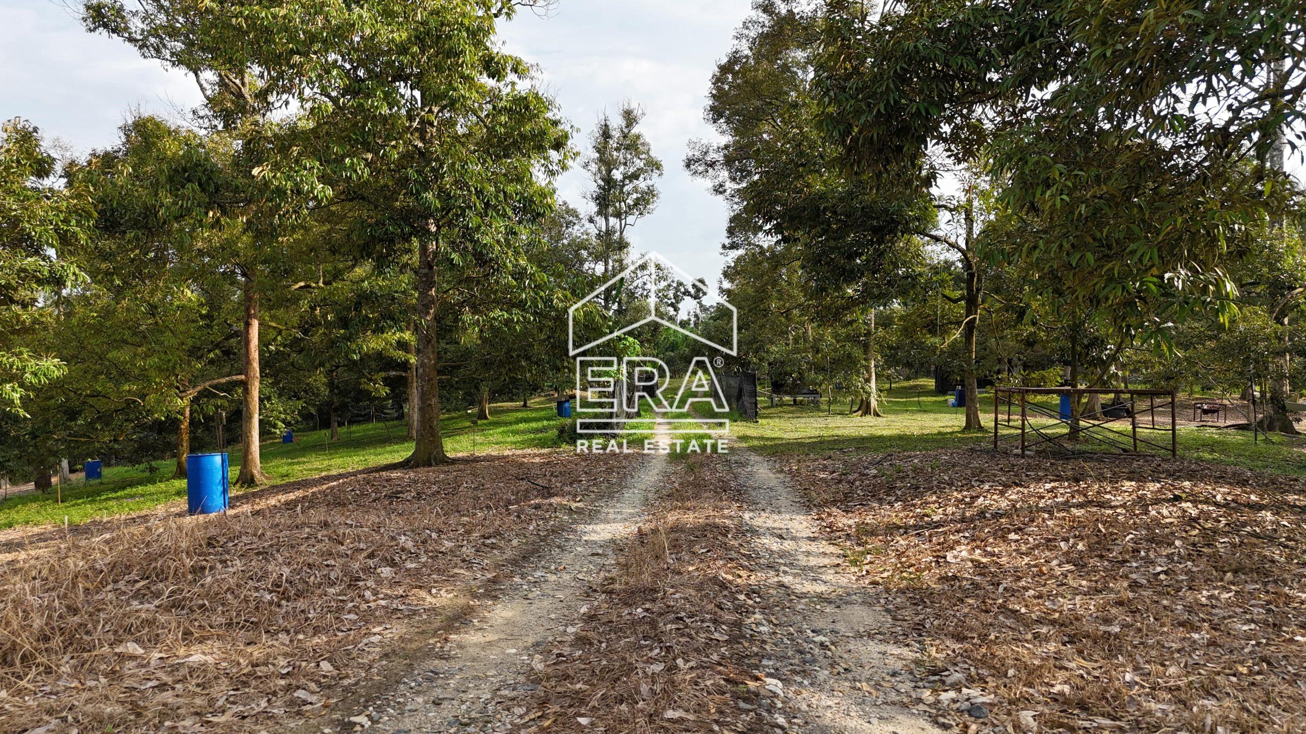 DJI_20241001170322_0596_D-min-scaled-1