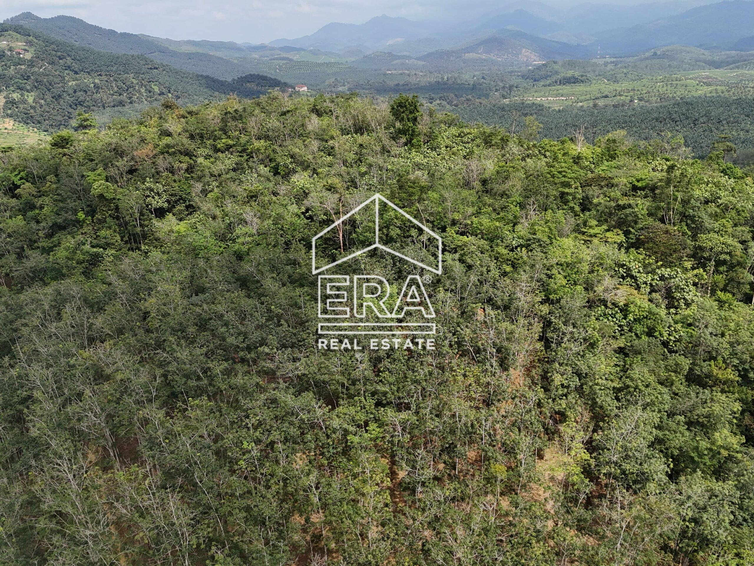 DJI_20250519150428_0029_D-min_cropped-scaled-1