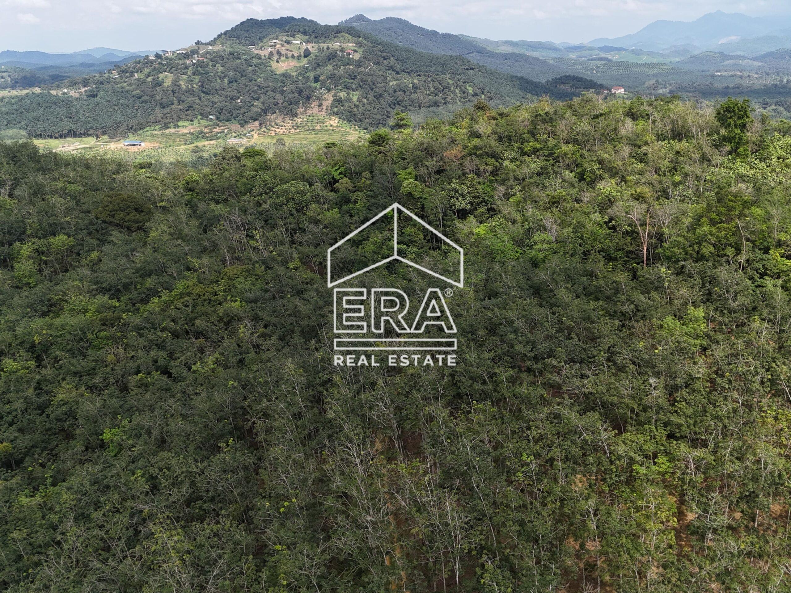 DJI_20250519150431_0030_D-min_cropped-scaled-1