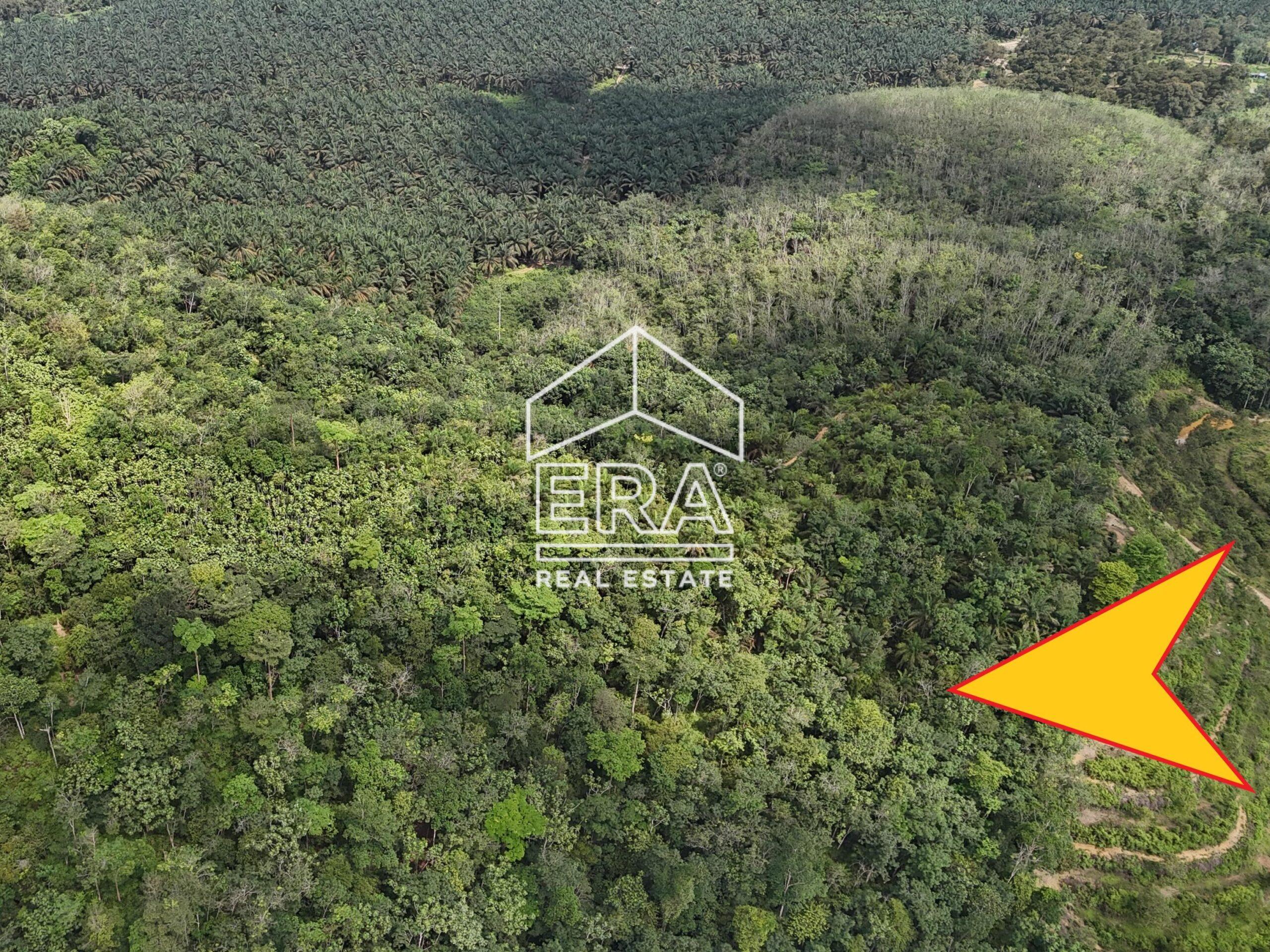 DJI_20250519150530_0032_D-min-1_cropped-scaled-1