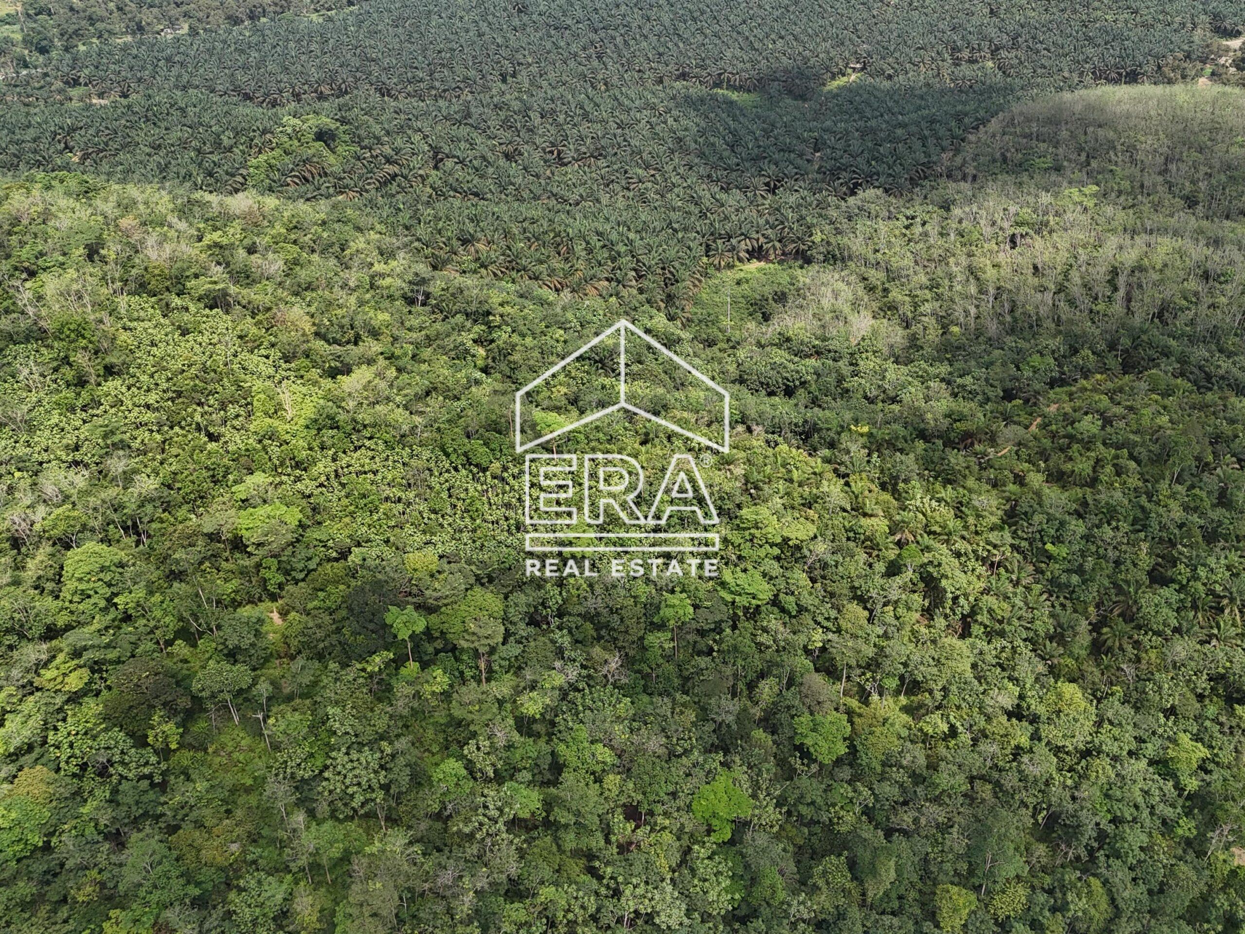 DJI_20250519150532_0033_D-min_cropped-scaled-4