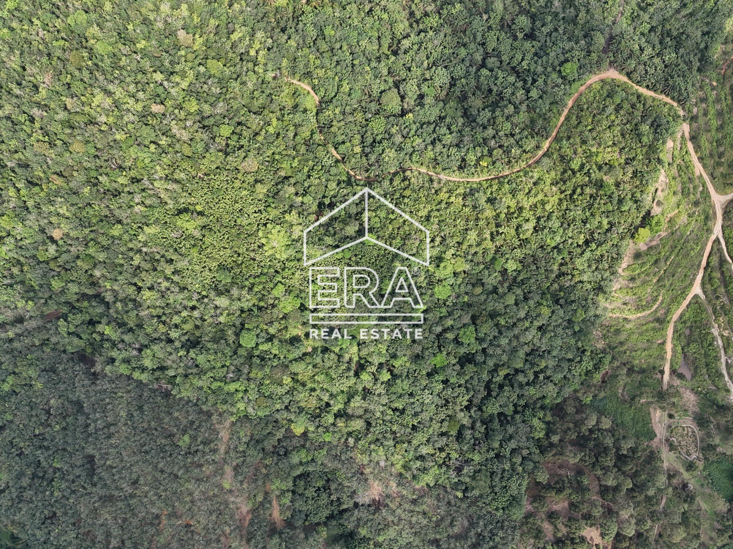 DJI_20250519150635_0034_D-min_cropped-scaled-1