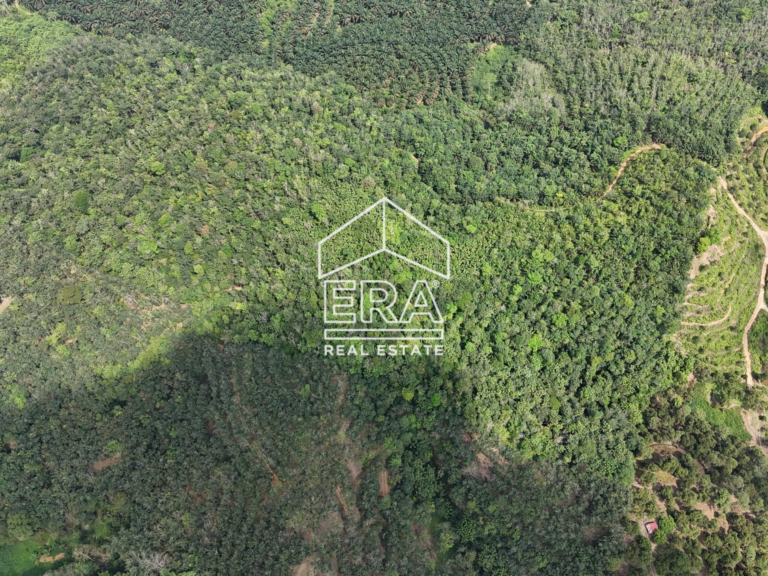 DJI_20250519150829_0037_D-min_cropped-scaled-1