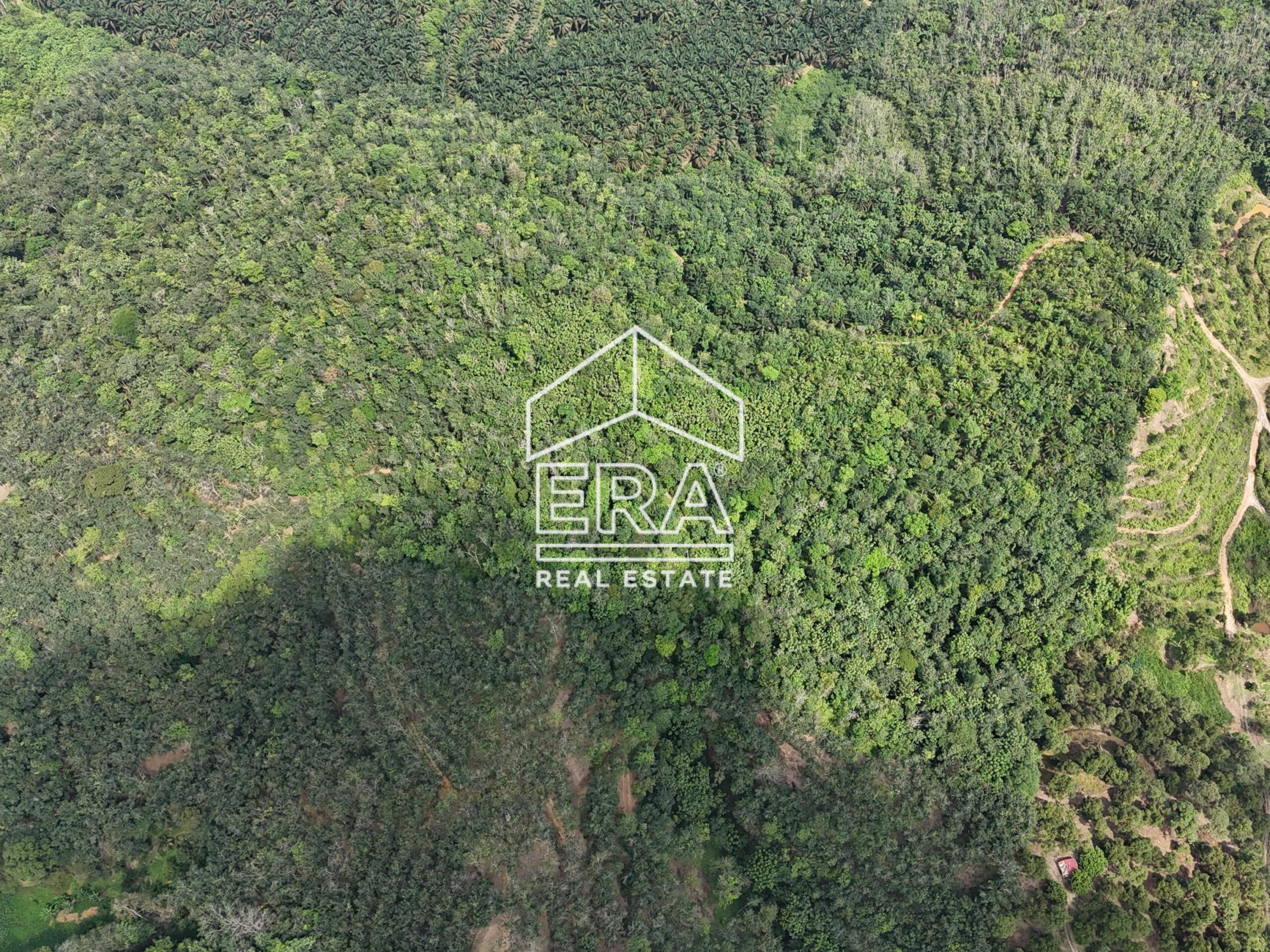 DJI_20250519150831_0038_D-min_cropped-scaled-1