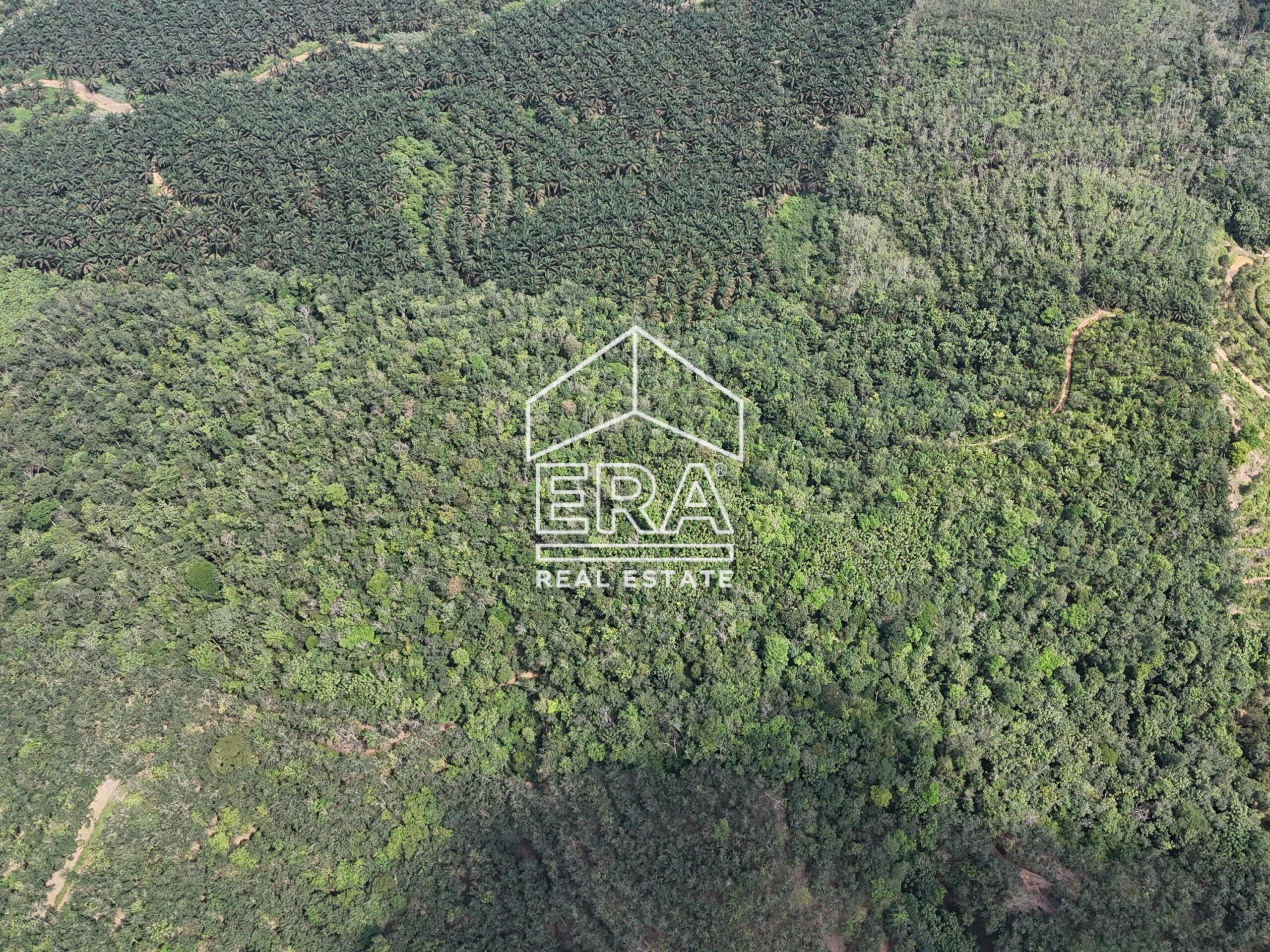 DJI_20250519150901_0040_D-min_cropped-scaled-1