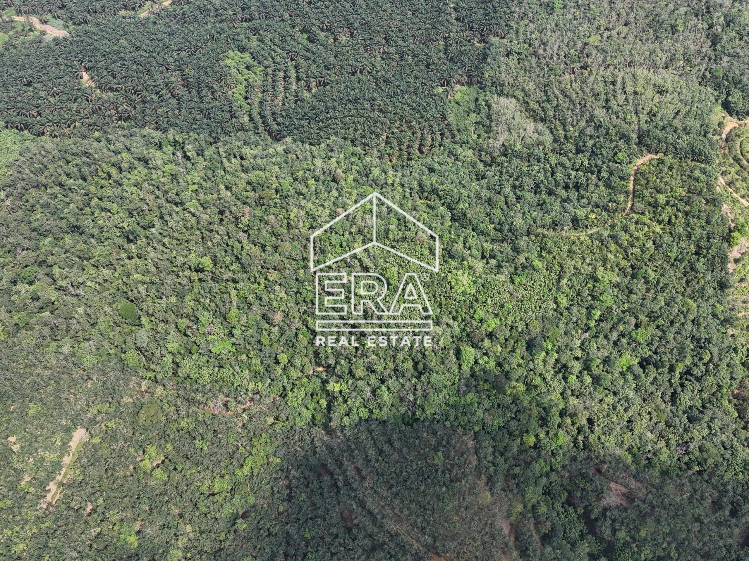 DJI_20250519150912_0041_D-min_cropped-scaled-1