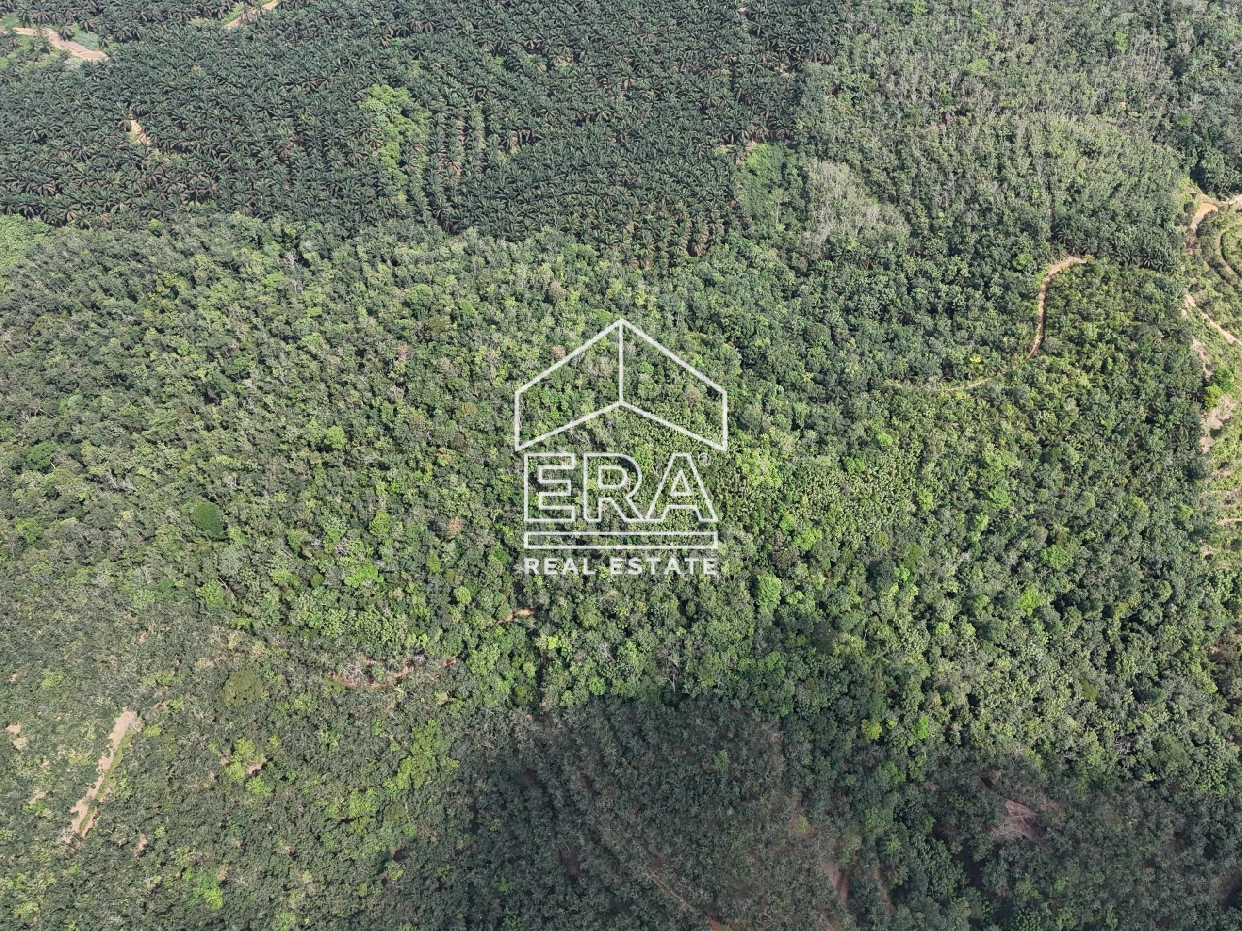 DJI_20250519150914_0042_D-min_cropped-scaled-1